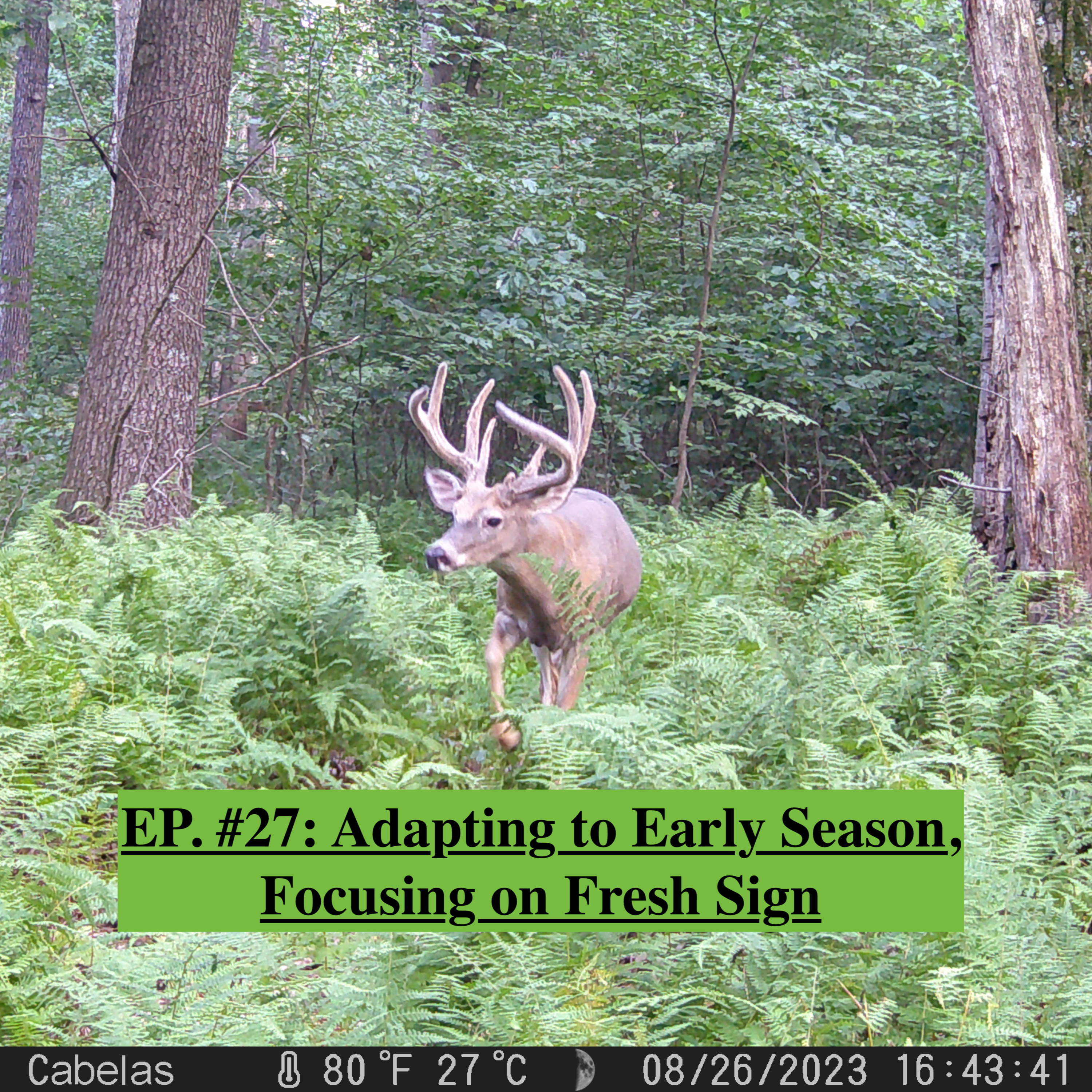 EP. #27: Adapting to Early Season, Focusing on Fresh Sign