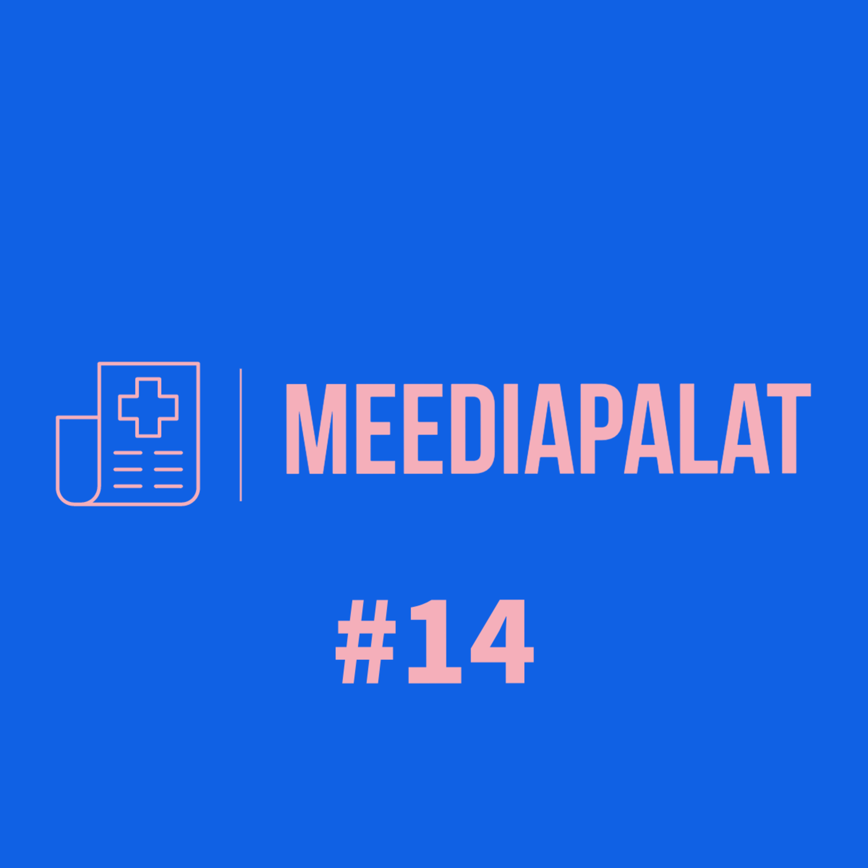 Meediapalat