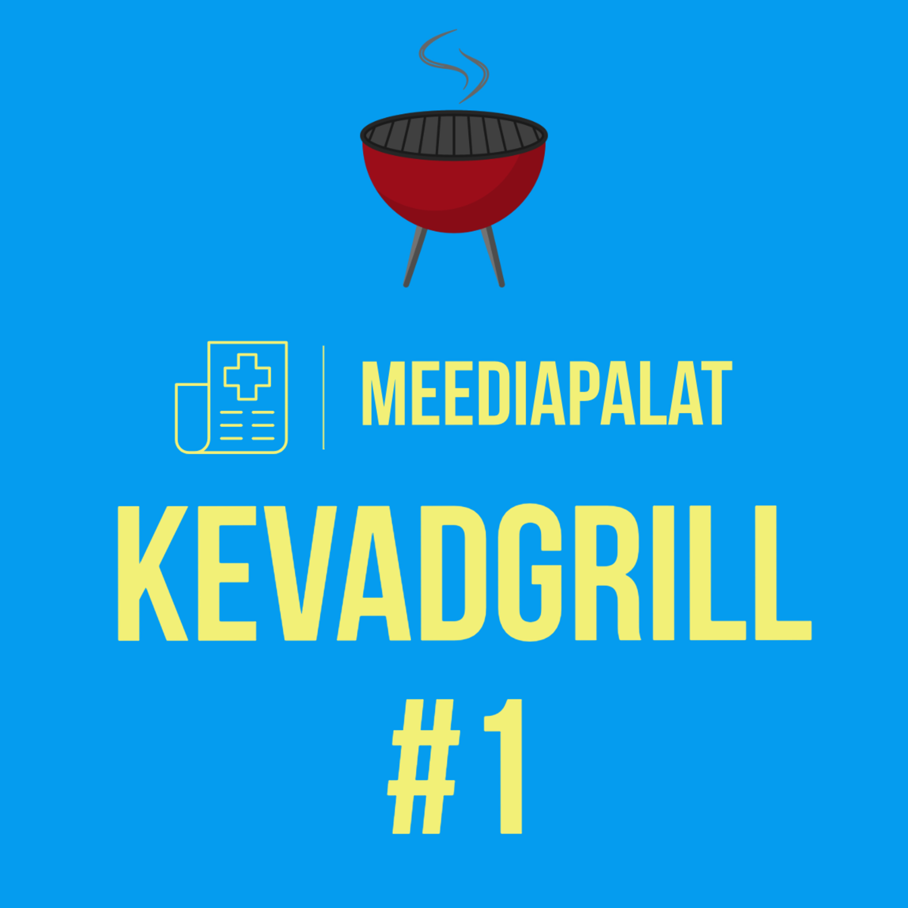 Meediapalat