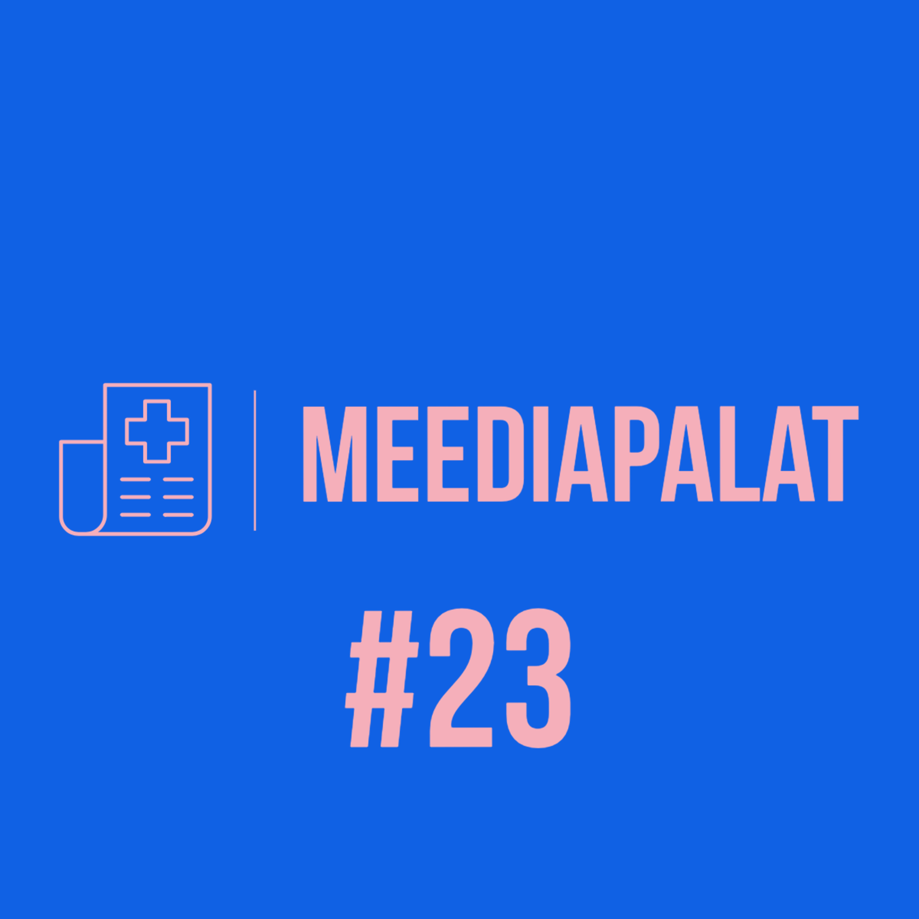Meediapalat