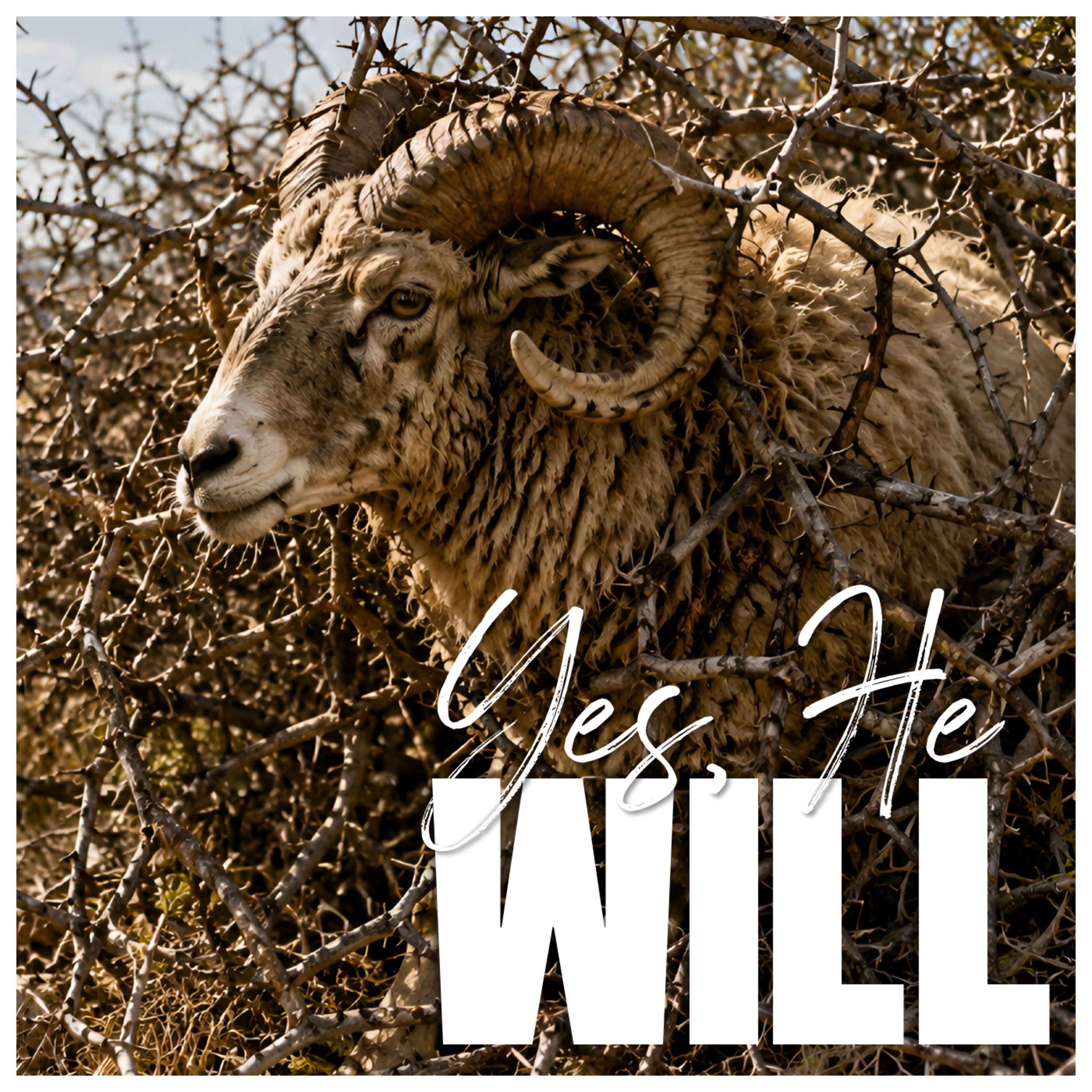 Yes, He Will episode artwork