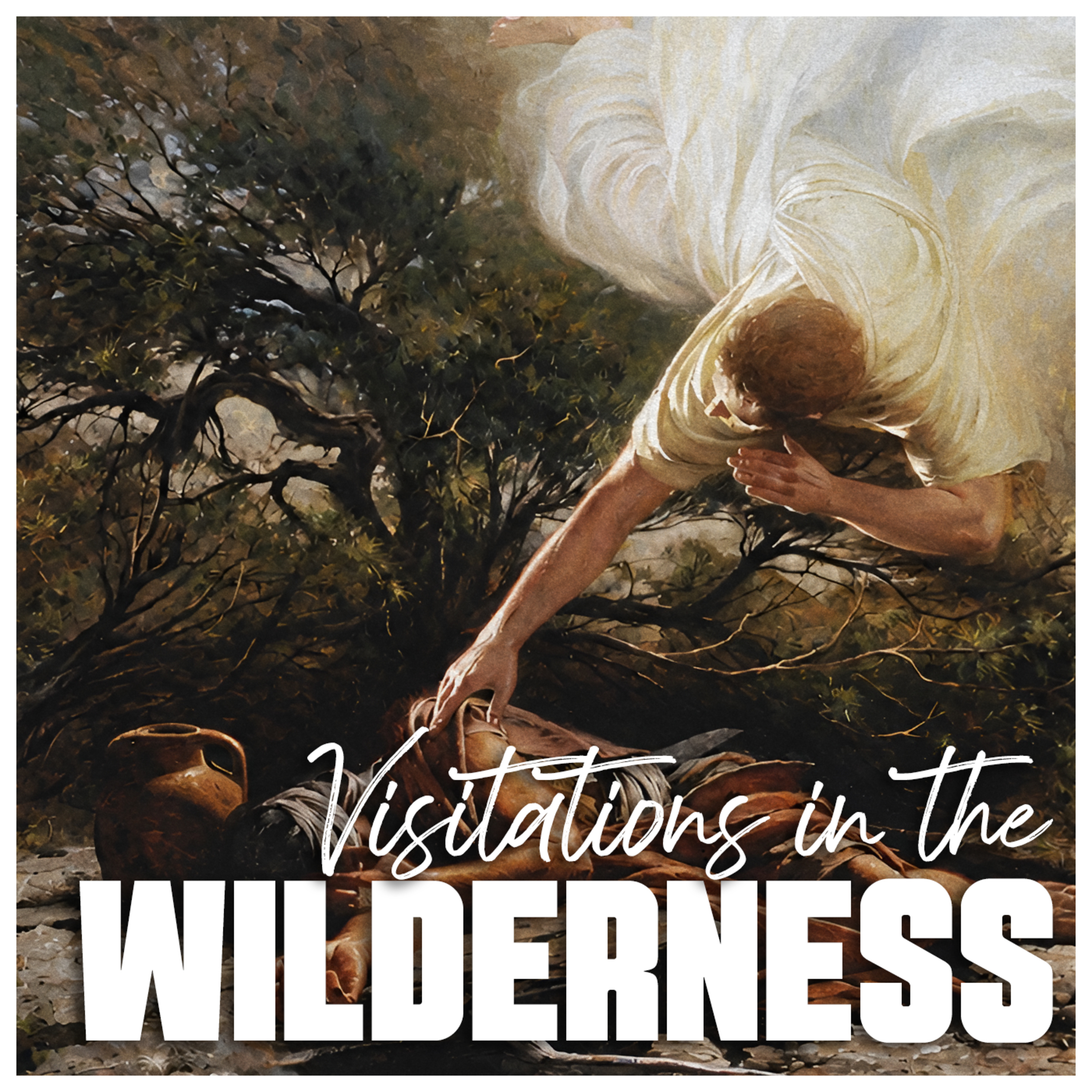 Visitations in the Wilderness episode artwork
