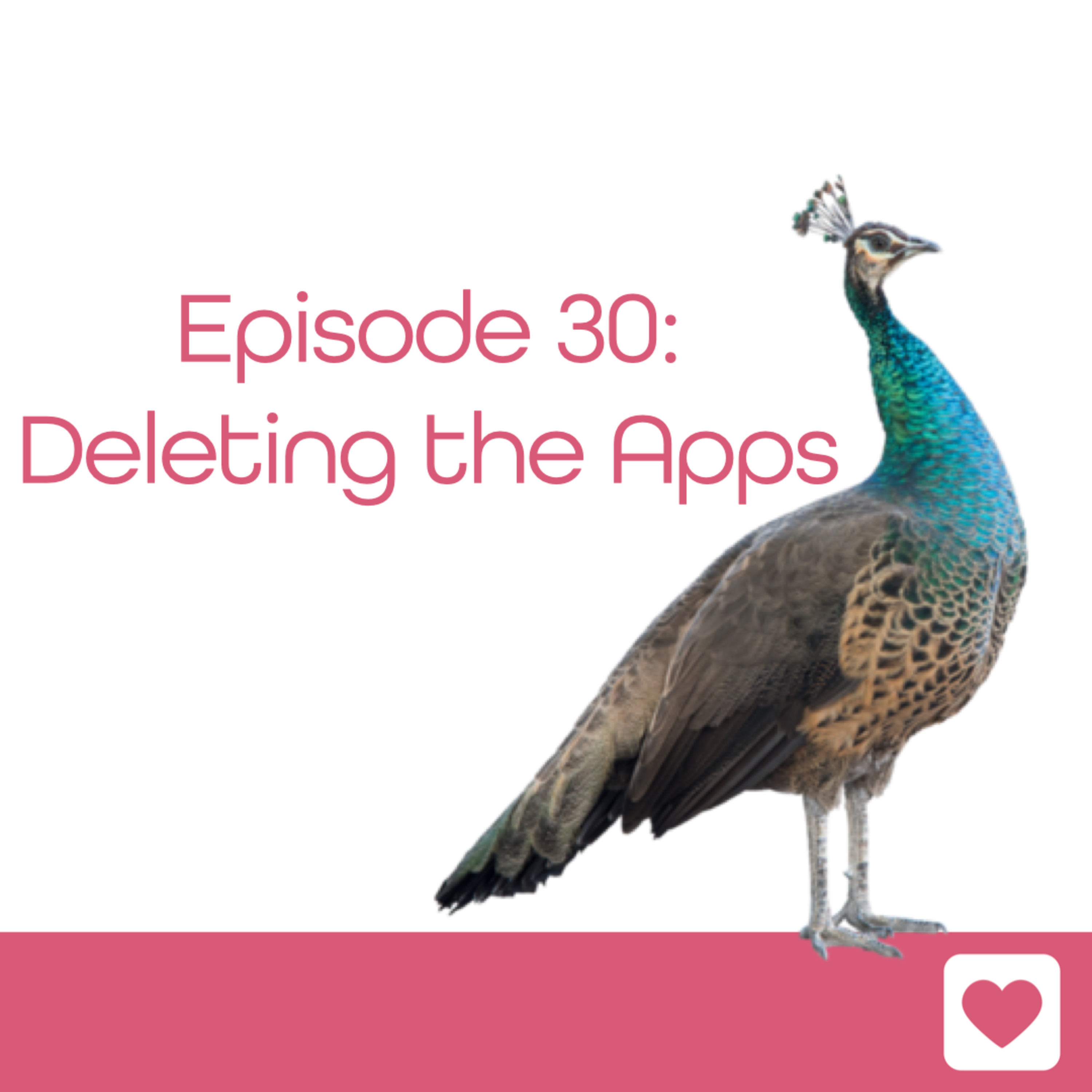 Episode 30: Deleting the Apps episode artwork