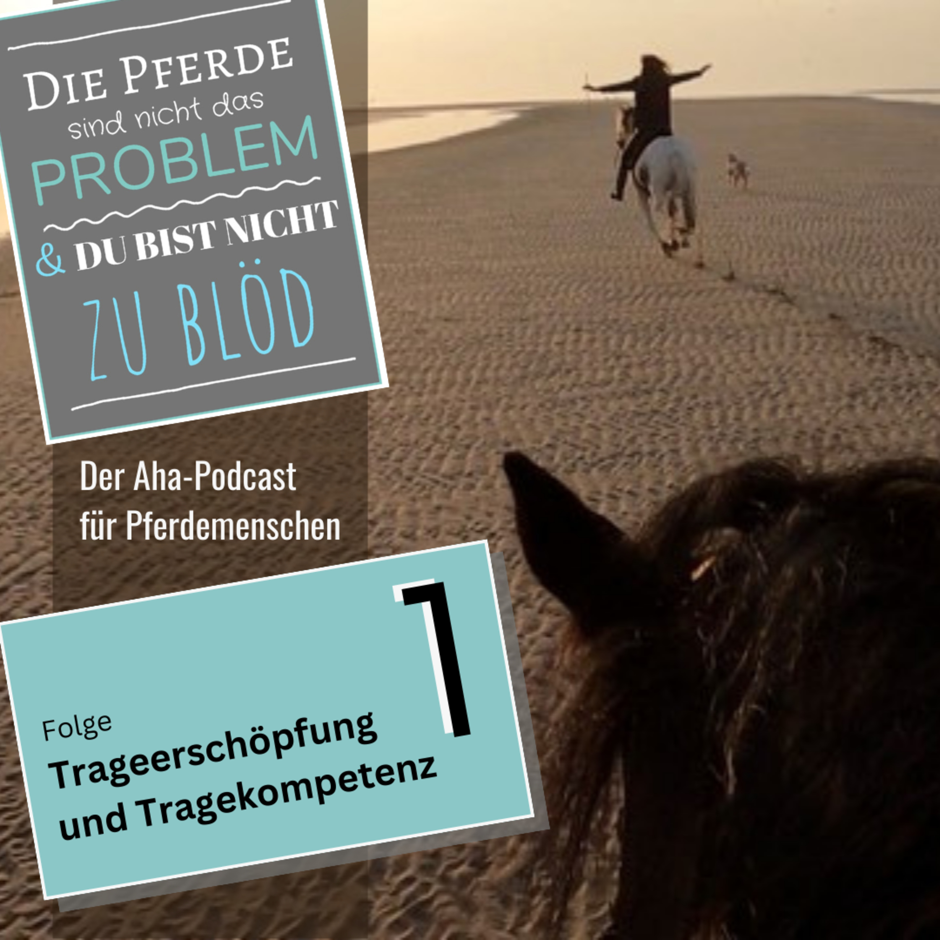 Die Pferde sind nicht das Problem - und du bist nicht zu blöd. Der Aha-Podcast für Pferdemenschen