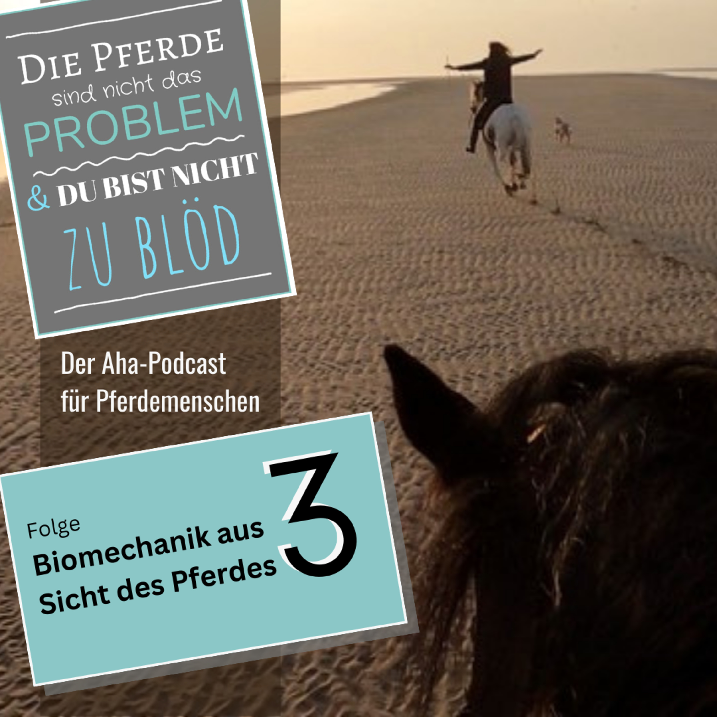 Die Pferde sind nicht das Problem - und du bist nicht zu blöd. Der Aha-Podcast für Pferdemenschen