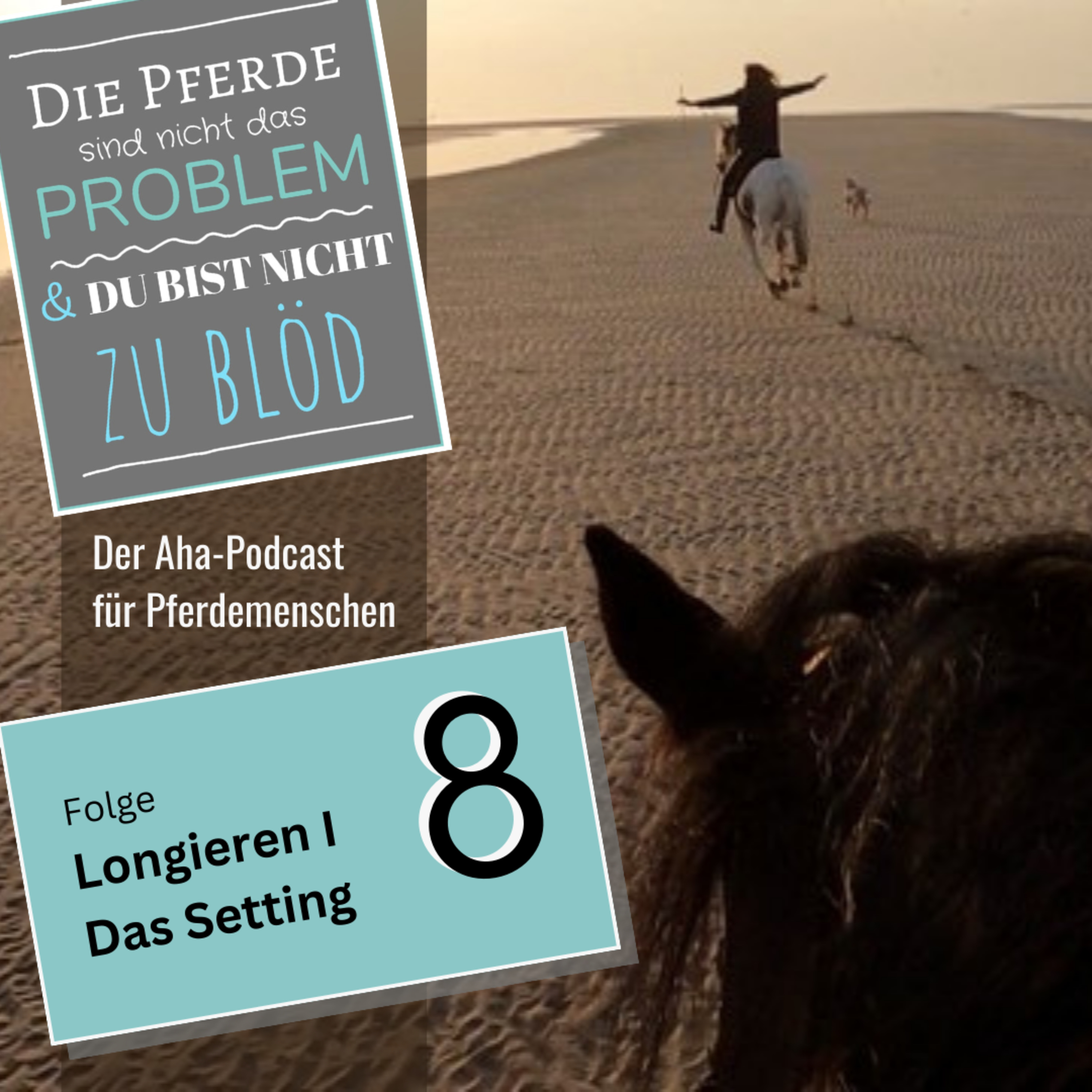 Die Pferde sind nicht das Problem - und du bist nicht zu blöd. Der Aha-Podcast für Pferdemenschen