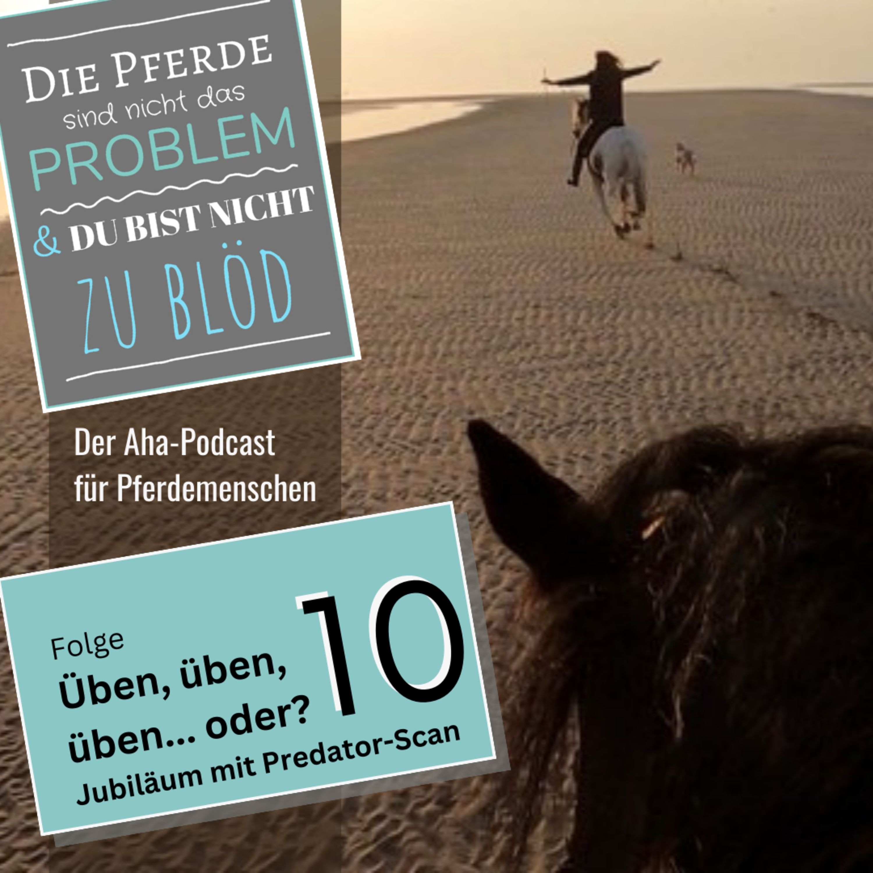 Die Pferde sind nicht das Problem - und du bist nicht zu blöd. Der Aha-Podcast für Pferdemenschen