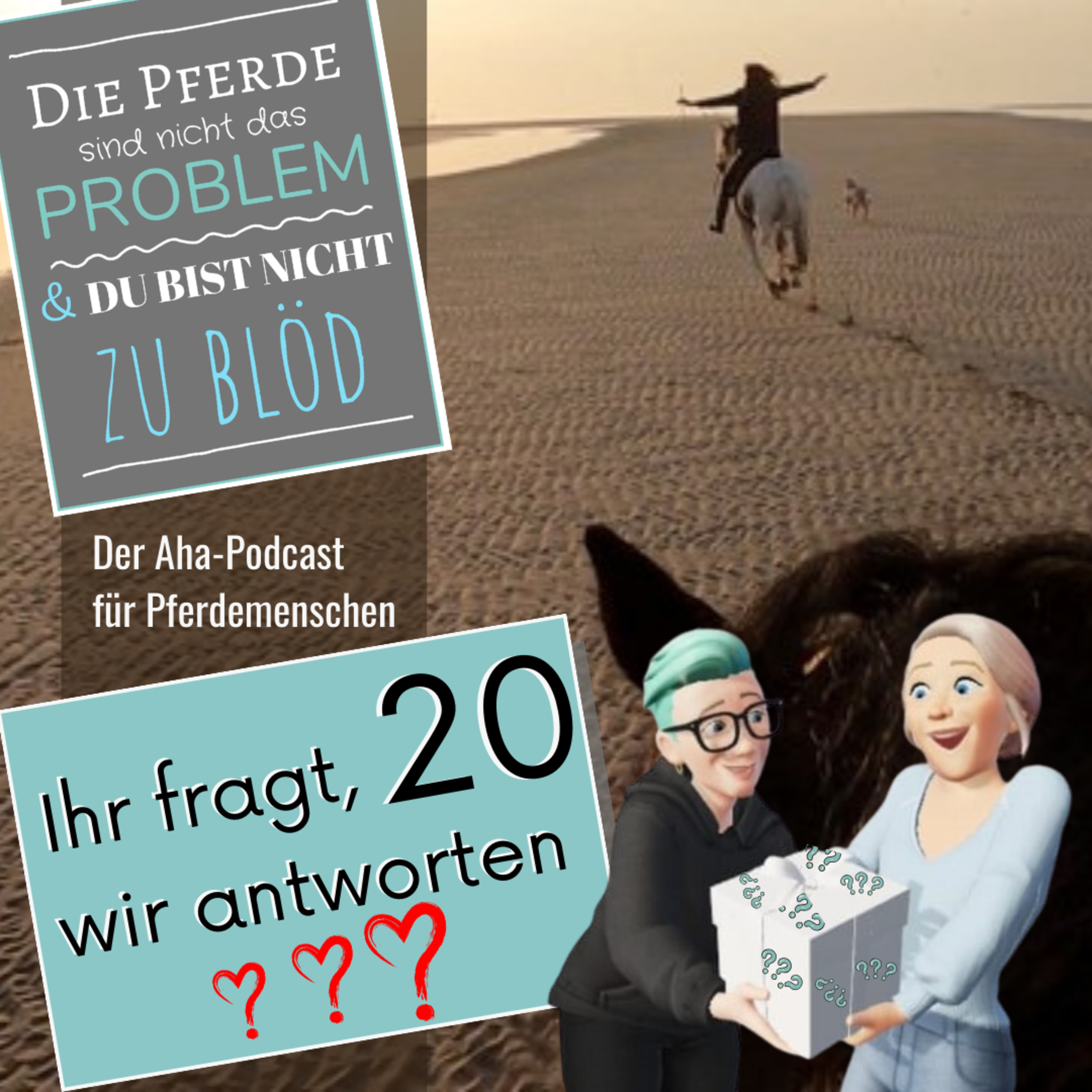 Die Pferde sind nicht das Problem - und du bist nicht zu blöd. Der Aha-Podcast für Pferdemenschen