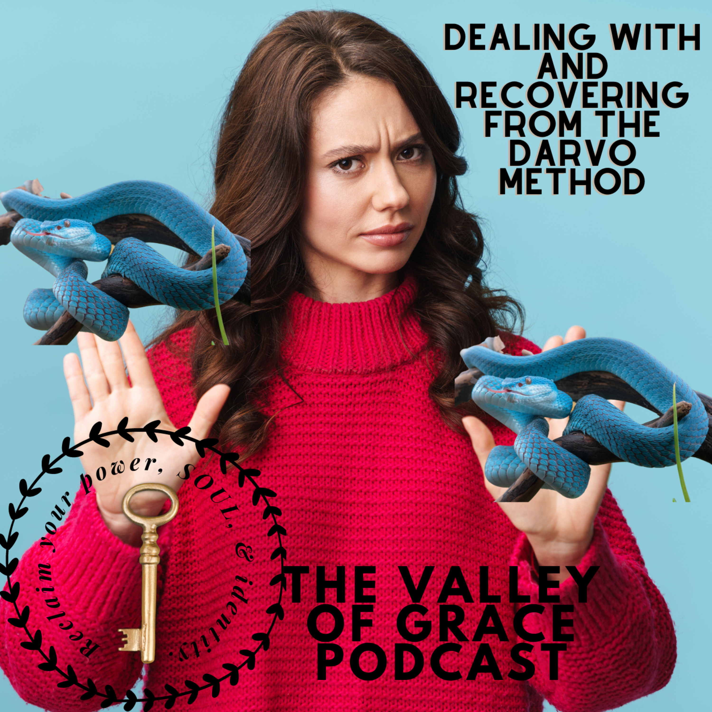 Dealing With and Recovering From the DARVO METHOD episode artwork