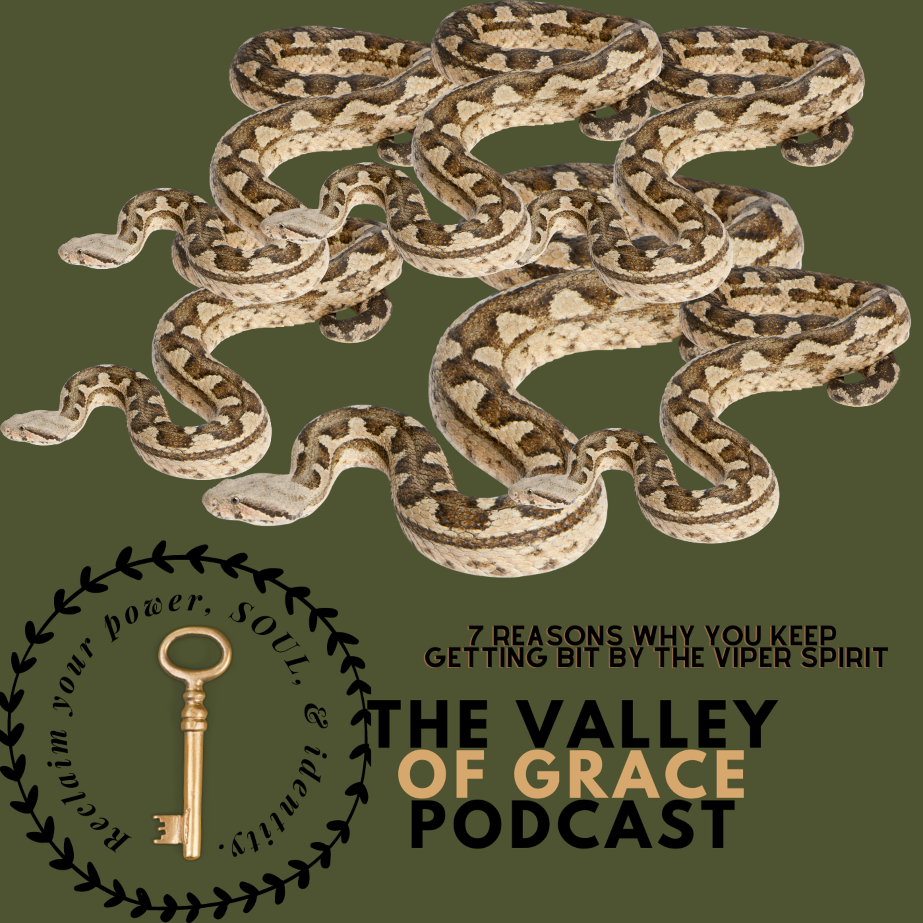 7 Reasons Why You Keep Getting Bit By the Viper Spirit episode artwork