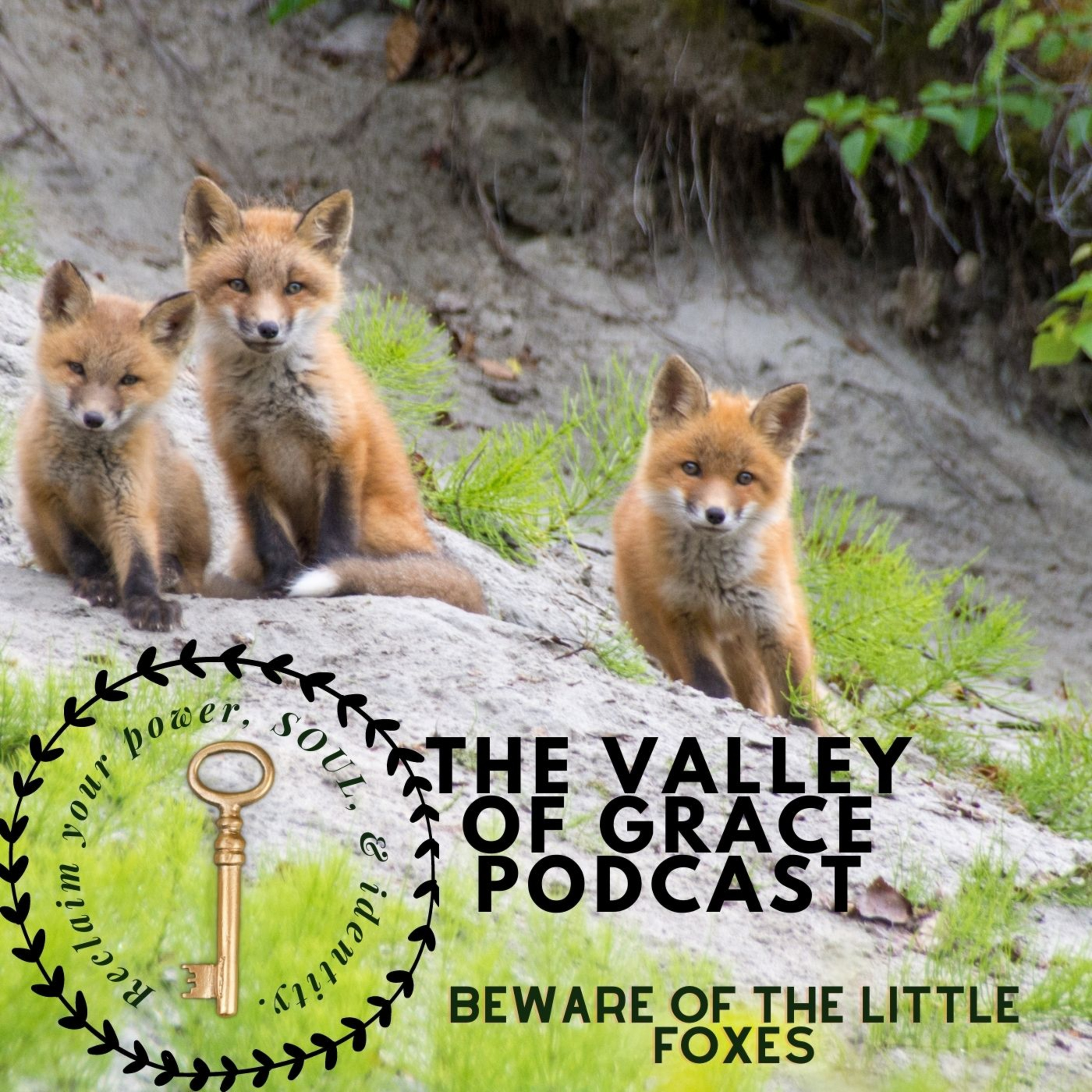 BEWARE OF THE LITTLE FOXES episode artwork