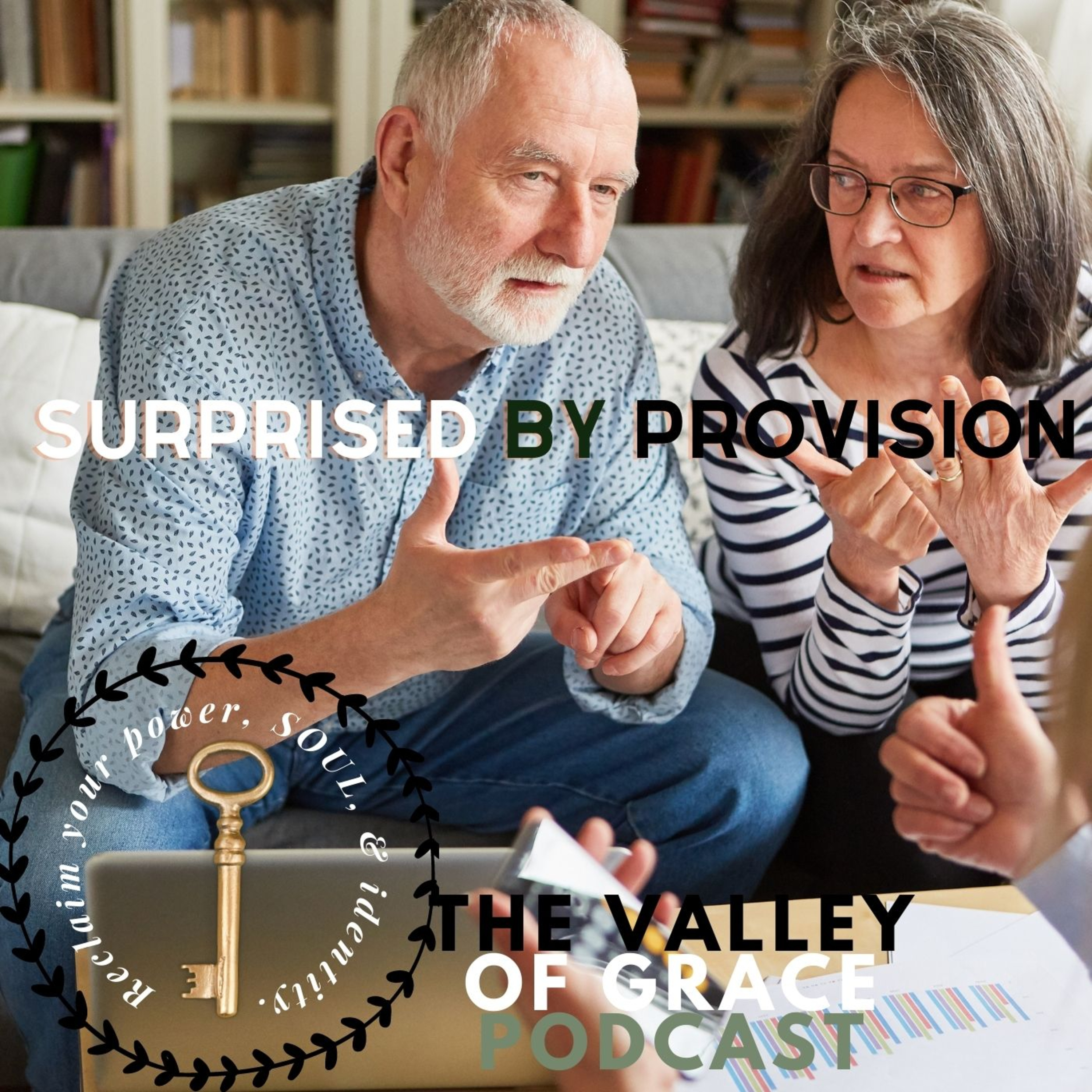 Surprised By Provision episode artwork