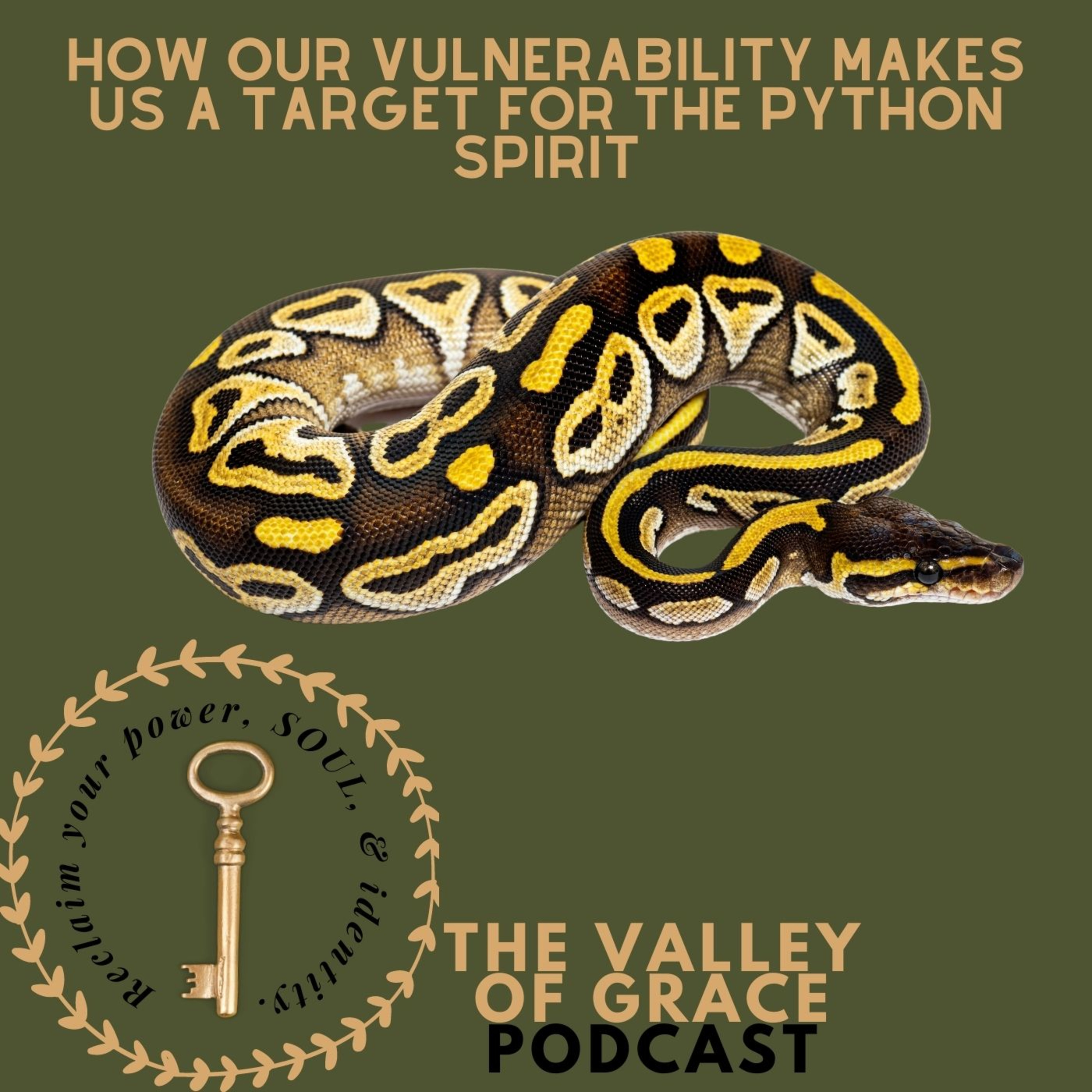 How Our Vulnerability Makes Us A Target for the Python Spirit episode artwork