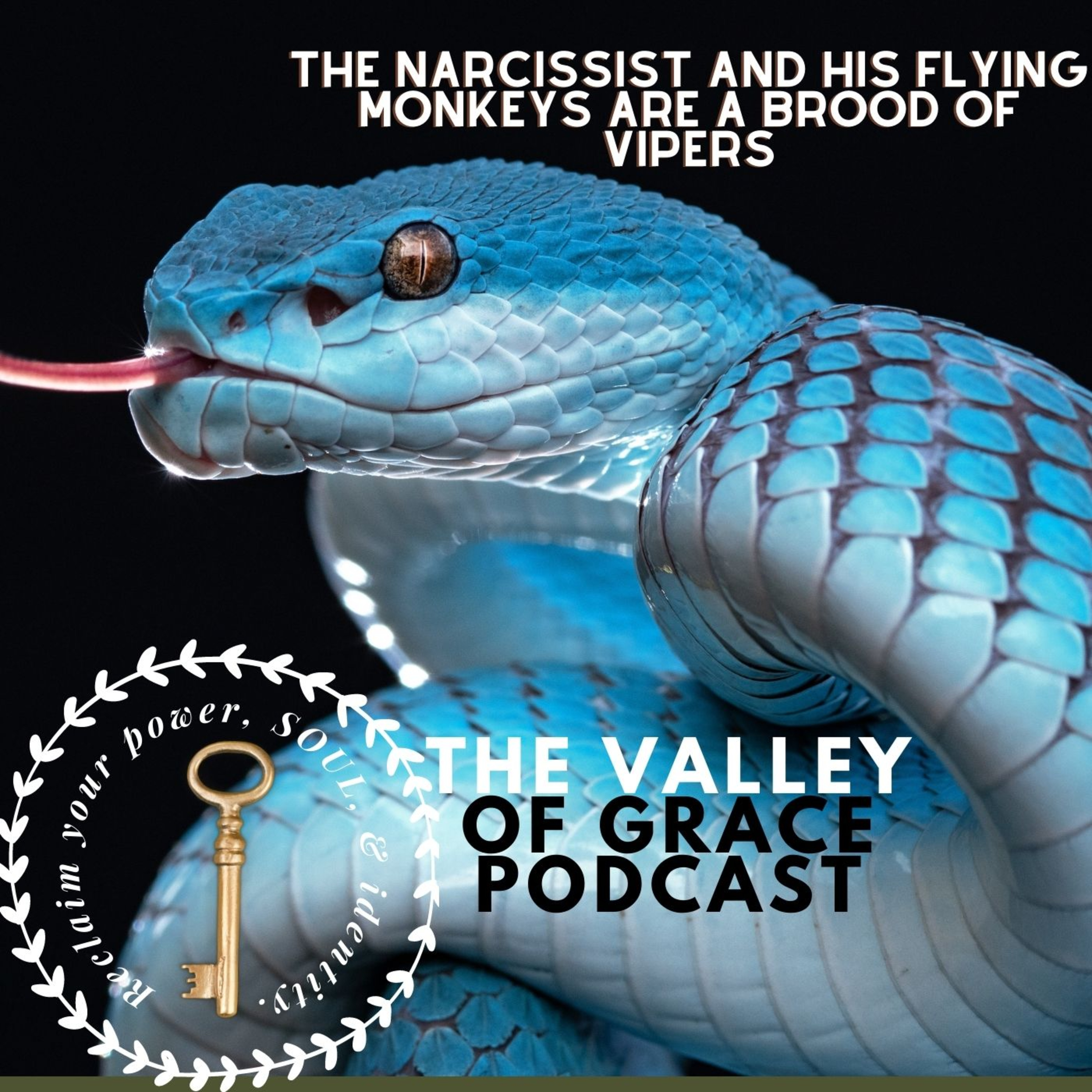 THE NARCISSIST AND HIS FLYING MONKEYS ARE A BROOD OF VIPERS episode artwork
