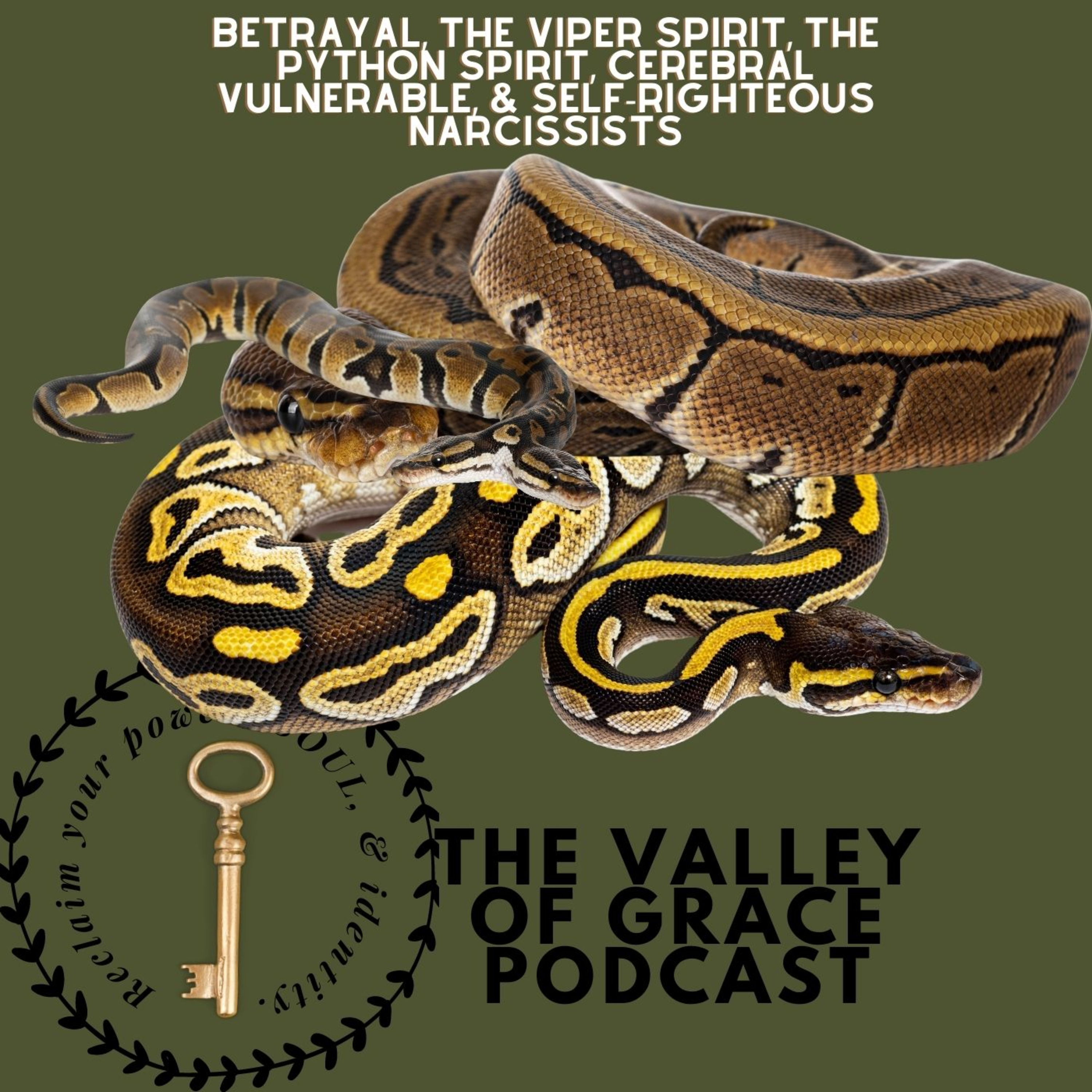 Betrayal, The Viper Spirit, The Python Spirit, Cerebral Vulnerable, & Self-Righteous Narcissists episode artwork