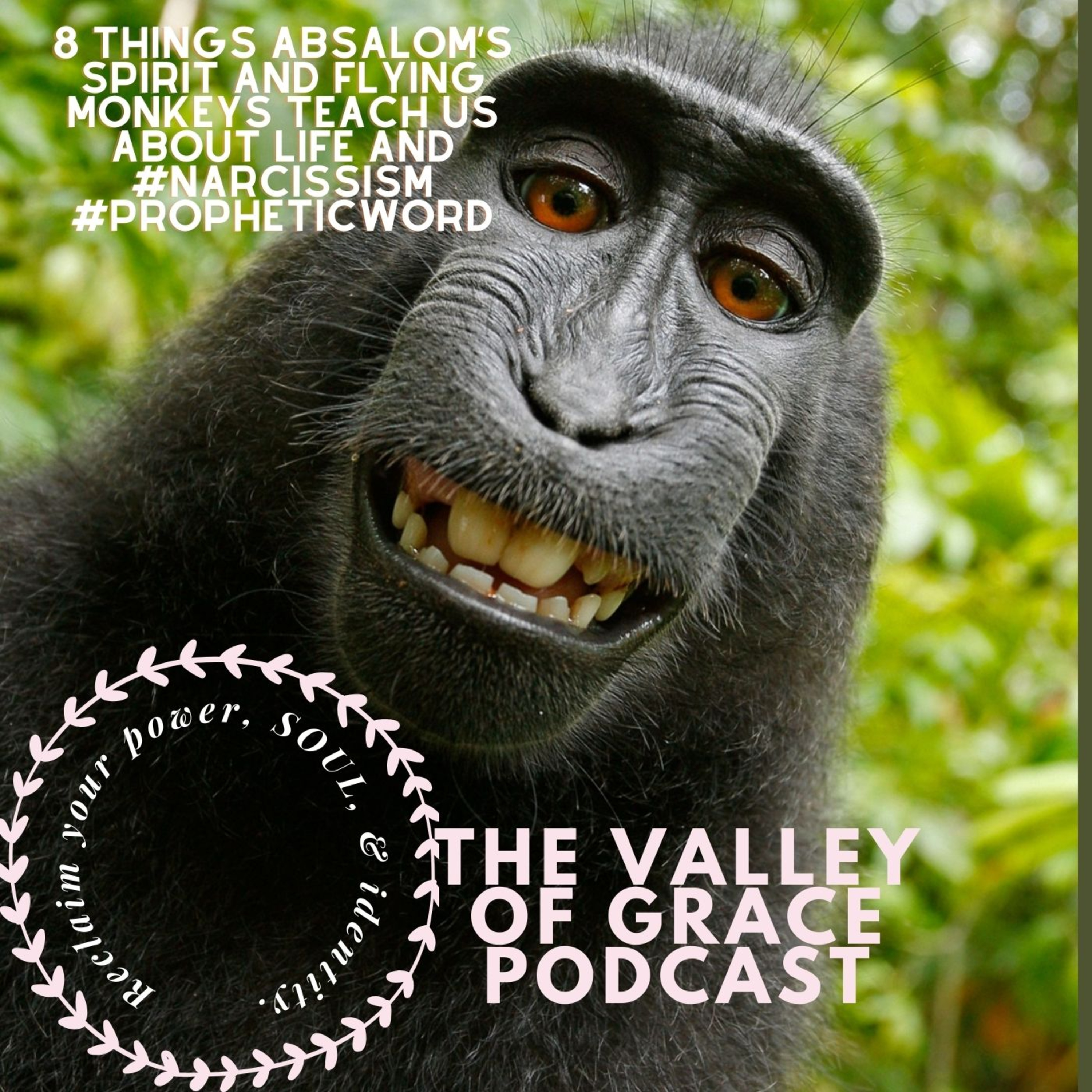 8 Things Absalom’s Spirit and Flying Monkeys teach us about Life and #narcissism #propheticword episode artwork