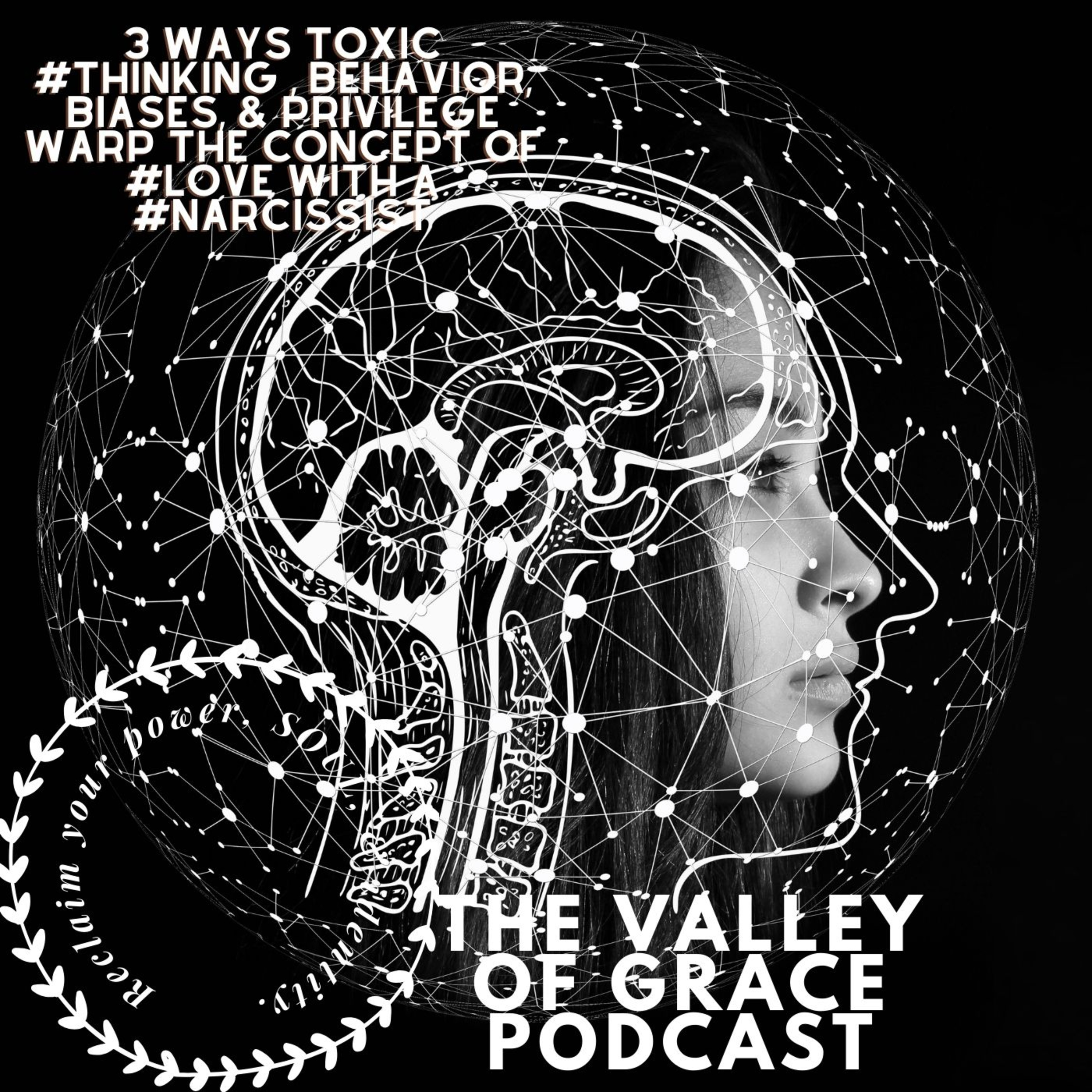 3 Ways Toxic #thinking , Behavior, Biases, & Privilege Warp the Concept of #love with a #narcissist episode artwork