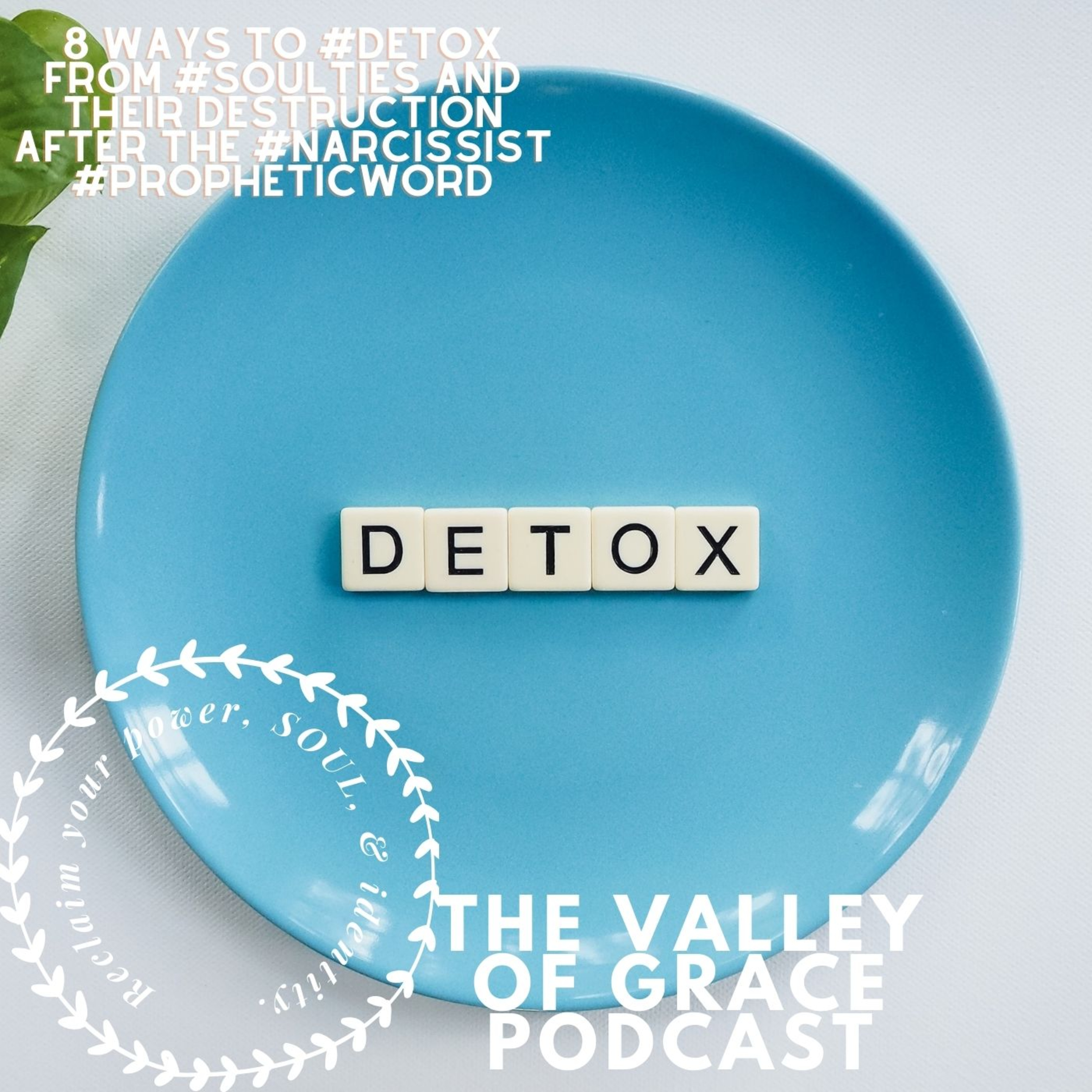 8 Ways To #detox From #soulties And Their Destruction After The #narcissist #propheticword episode artwork