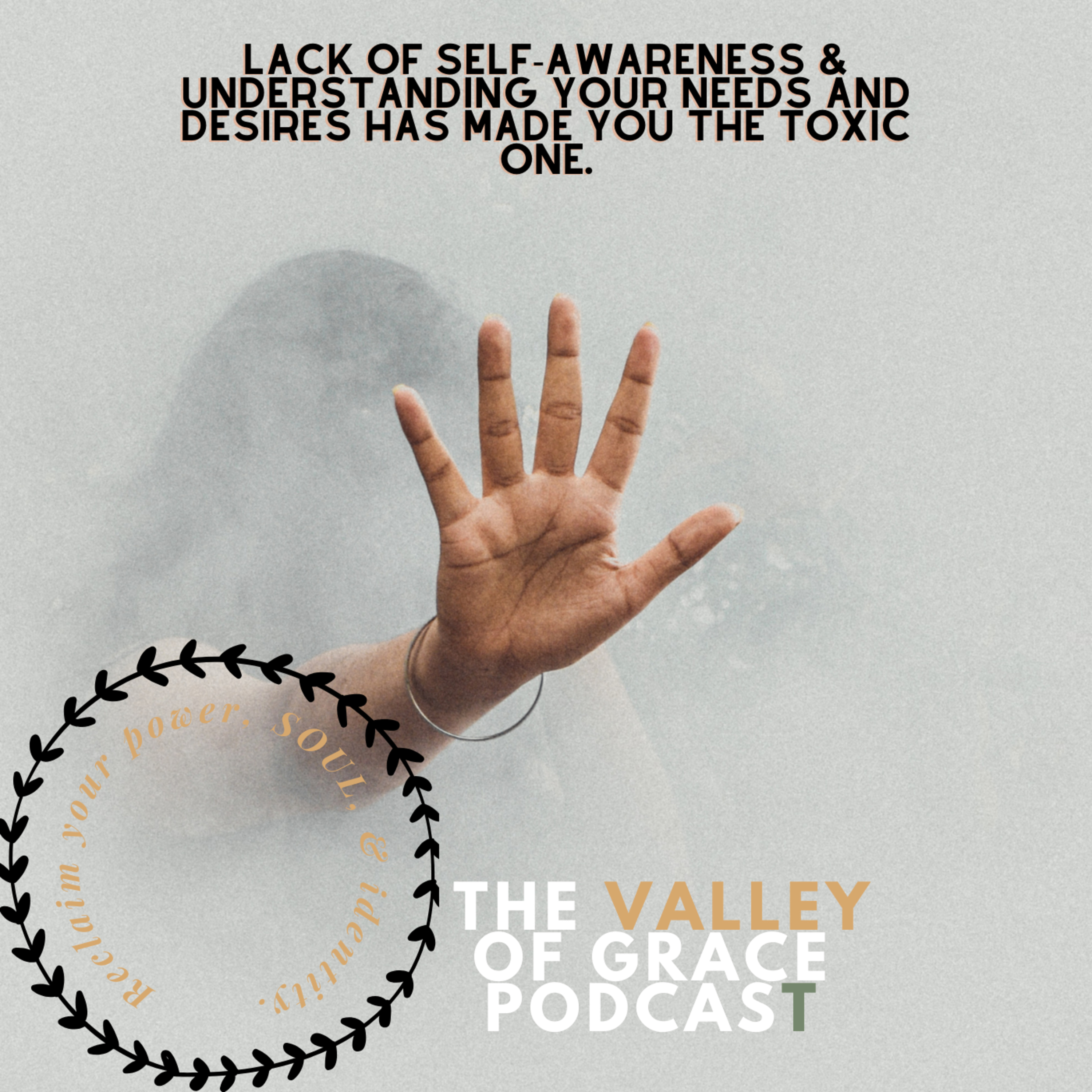 Lack of Self-Awareness & Understanding Your Needs and Desires Has Made You The Toxic One episode artwork