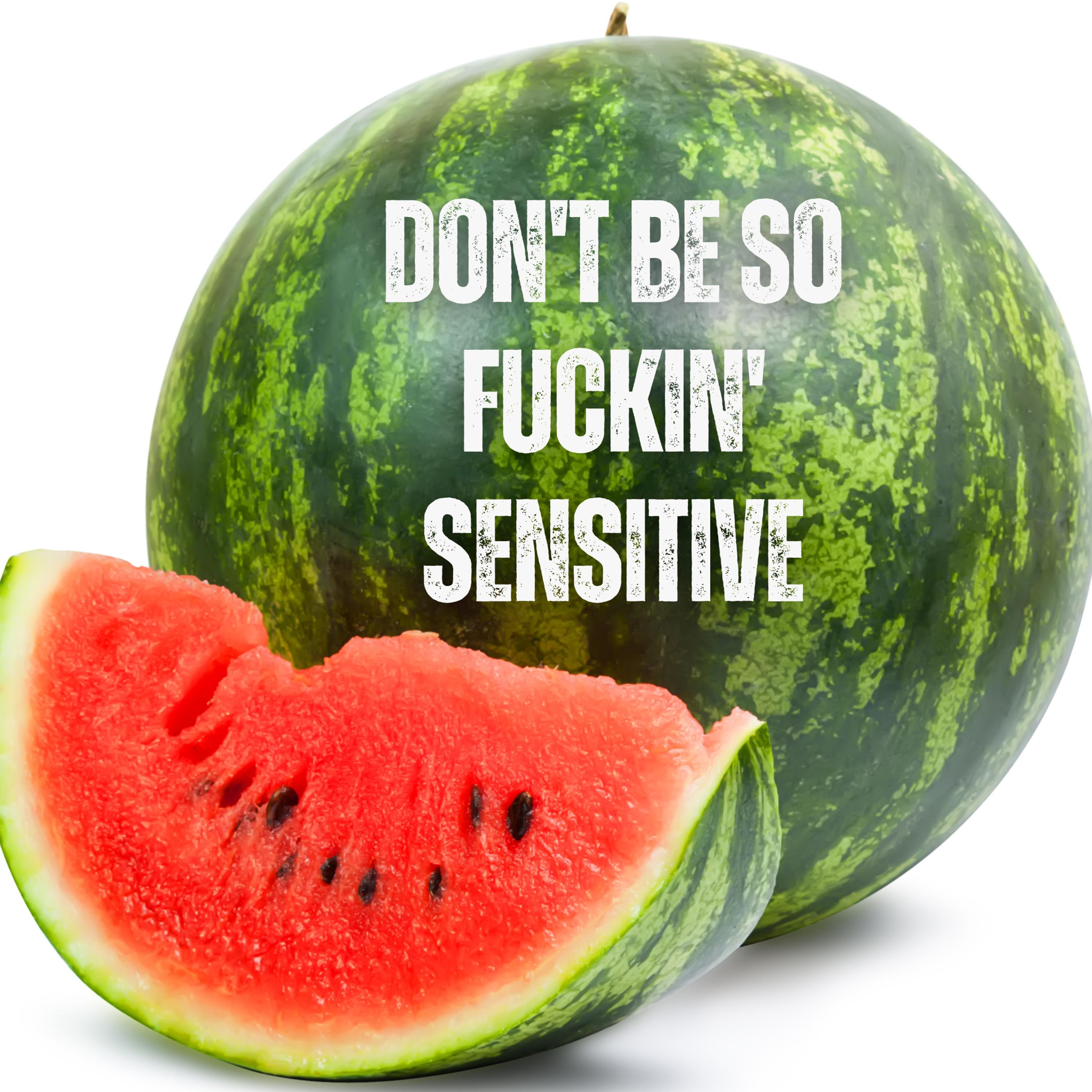 #44 "Watermelon Rebellion" episode artwork
