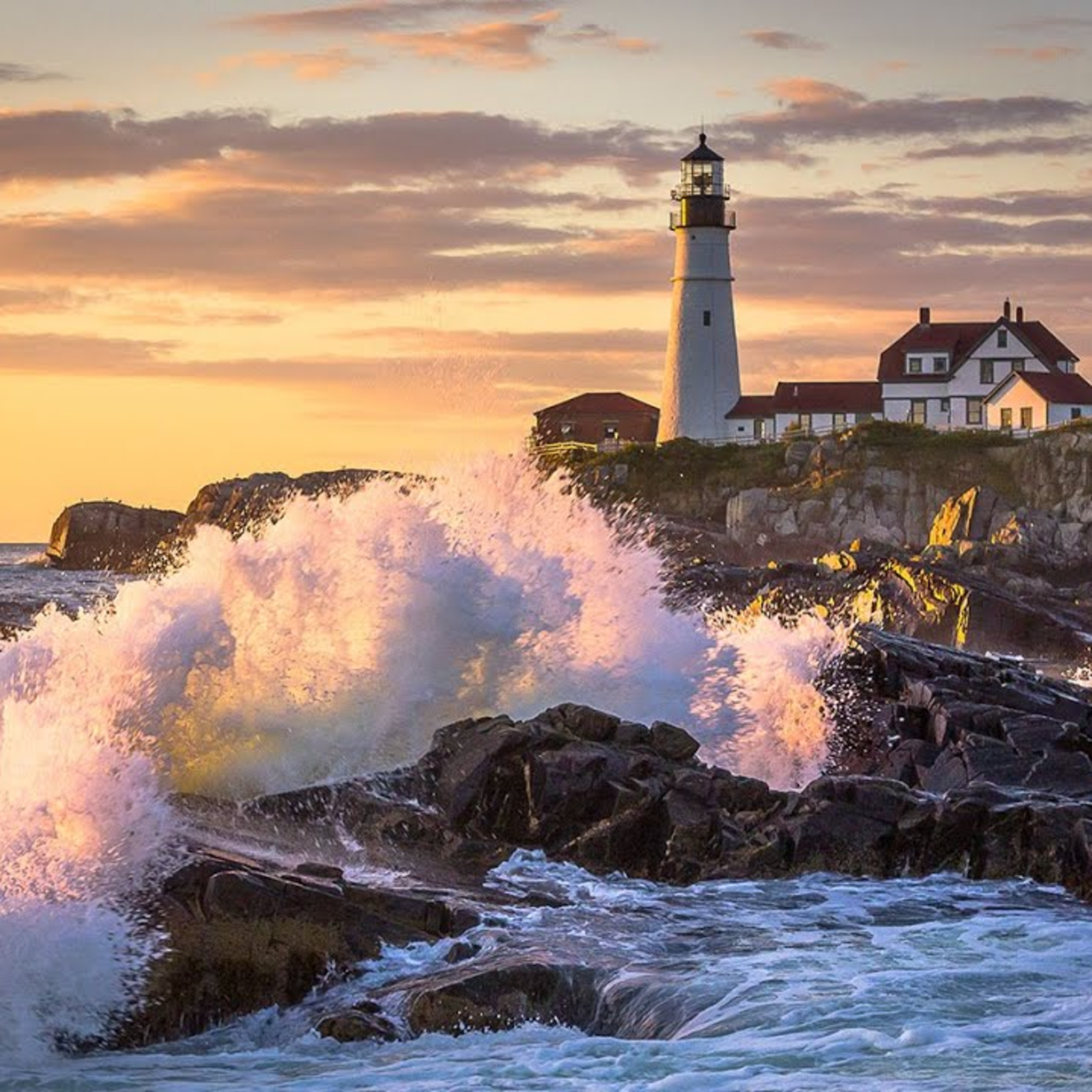 59 Culture & Dharma – Mercury Retrograde Effects Government? Welcome to Dumb Maine Politics!