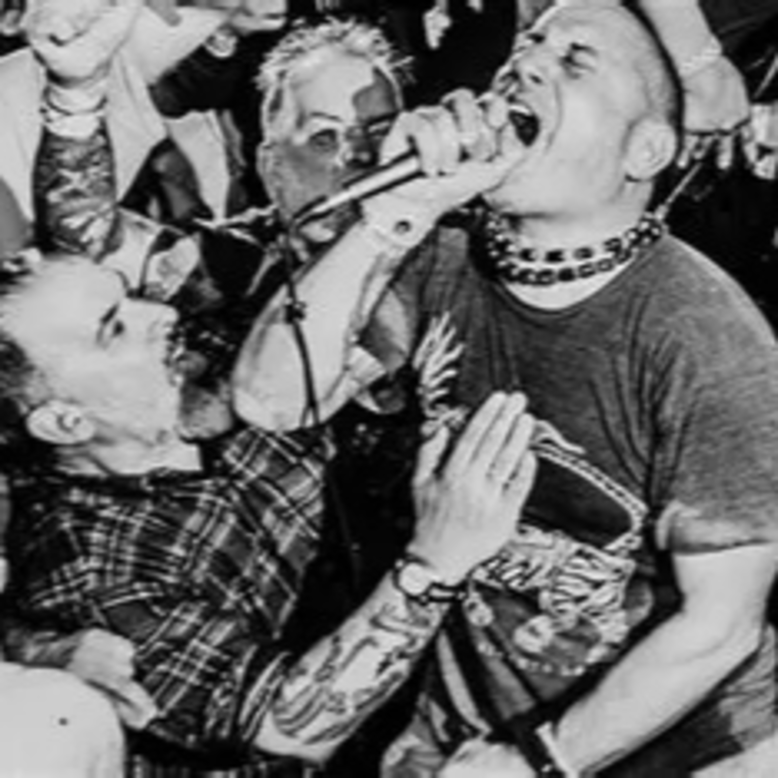 194 Ray Cappo "From Punk To Monk" Memoir (Vocalist of Shelter Straight Edge Krishnacore band)