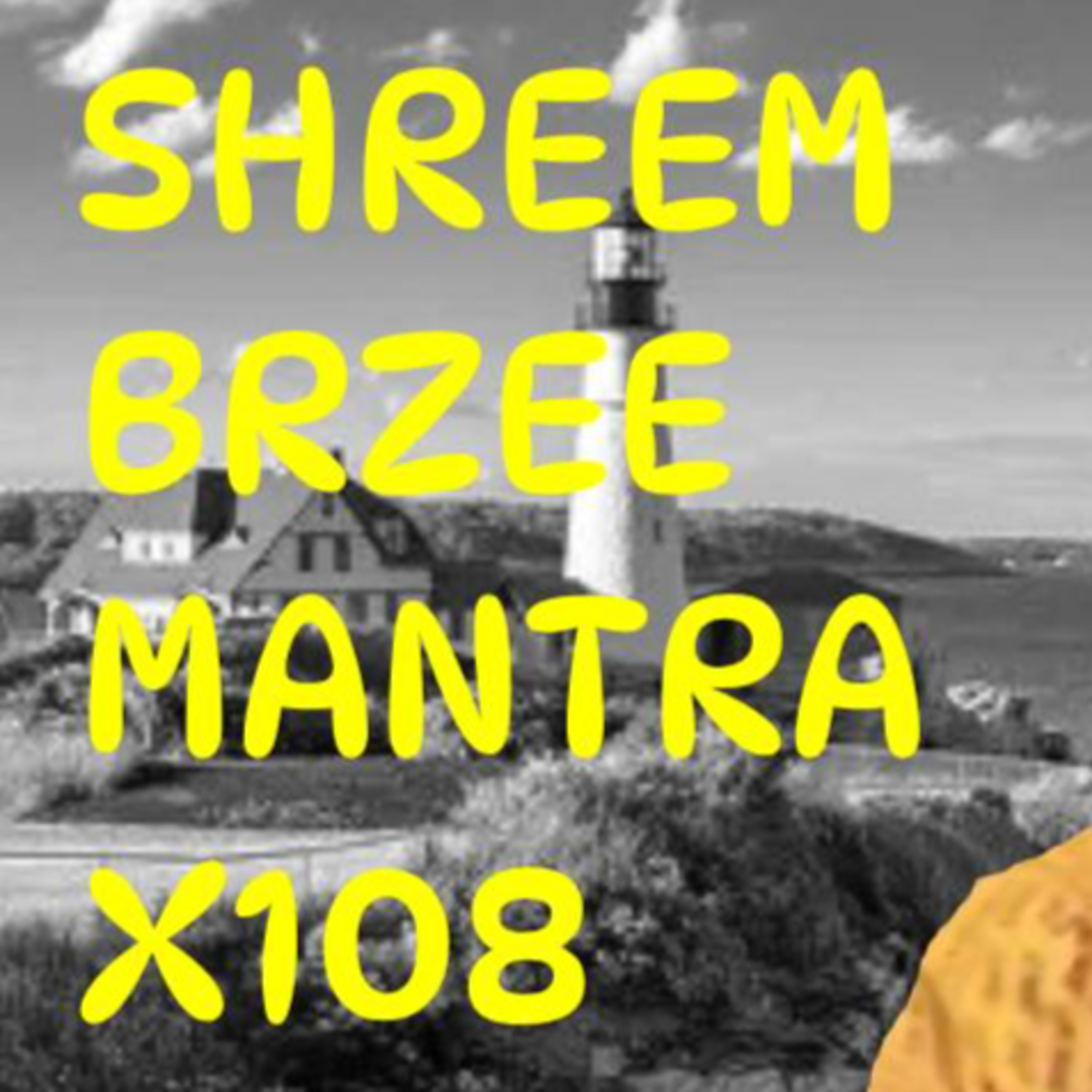 240 Mantra Chanting - Dr. Pillai's Shreem Brzee 108x For Manifesting Prosperity, Wealth, Money episode artwork