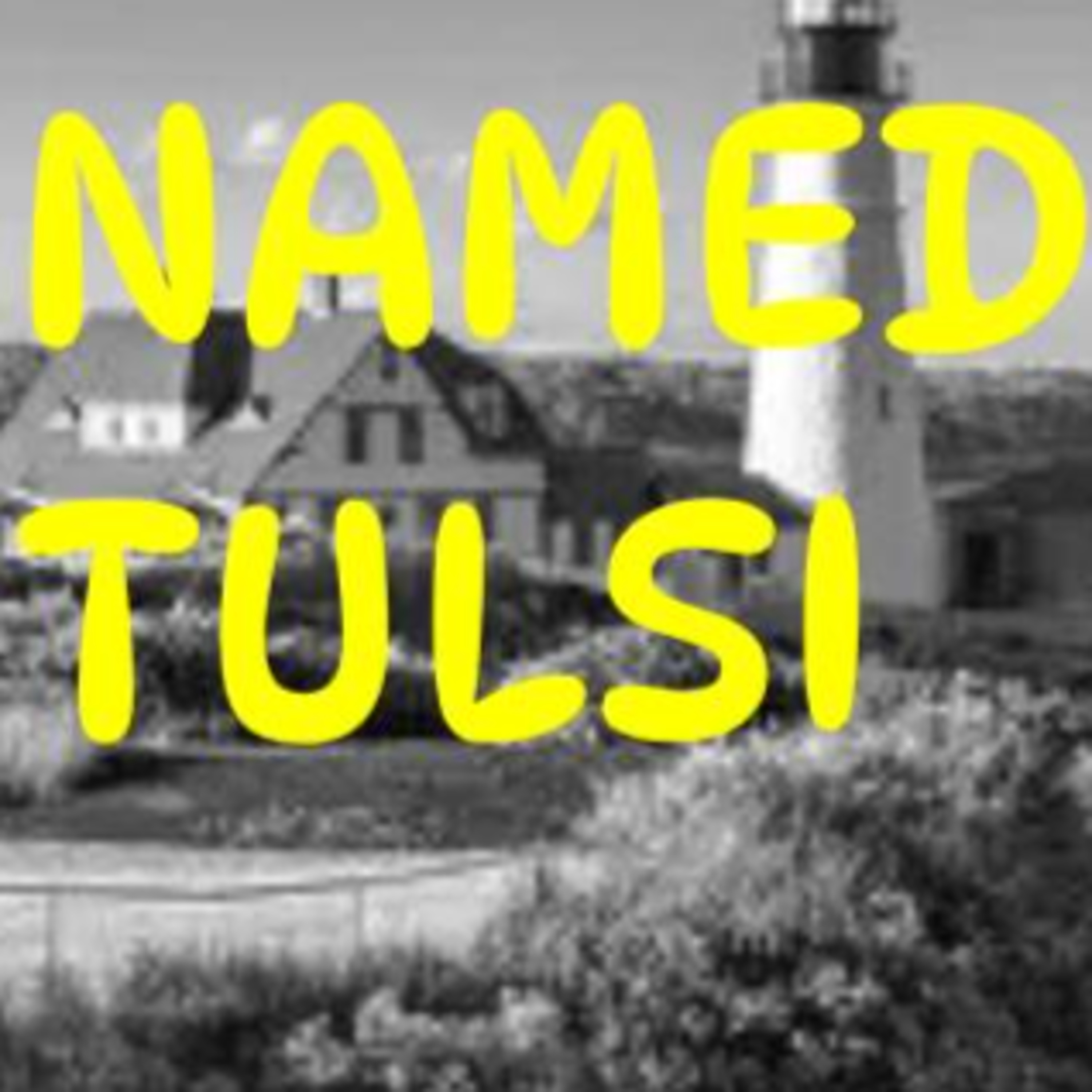 233 Media Manipulating You! Tulsi Gabbard is a distraction from Fauci episode artwork