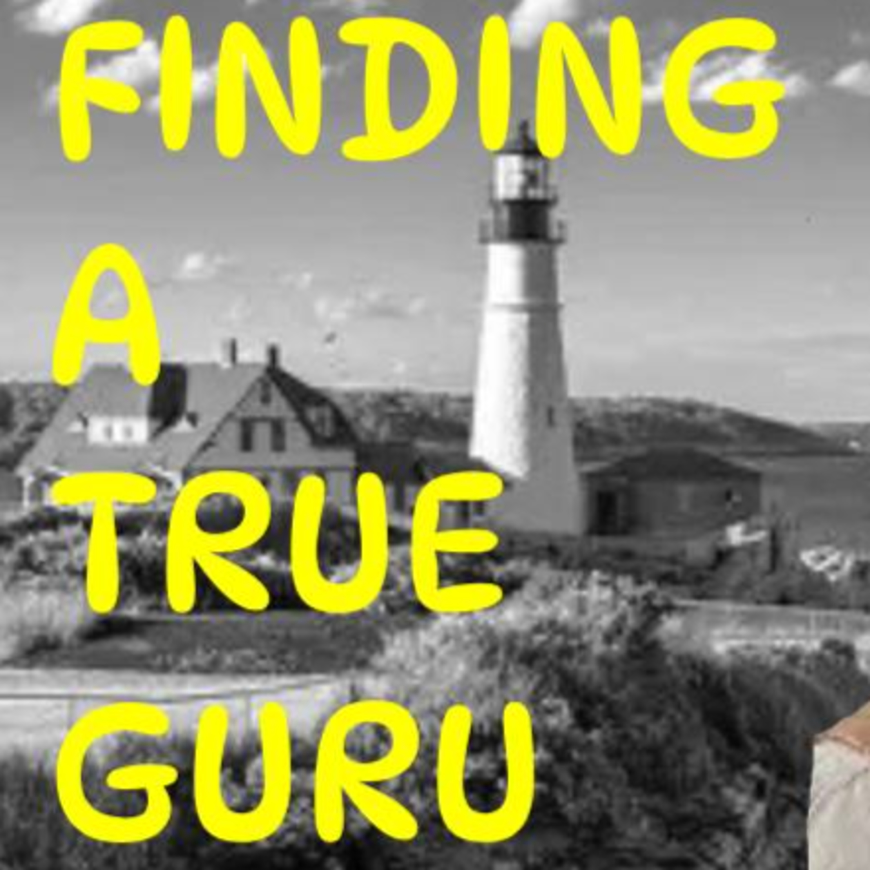 91 Difficulty of finding a true living guru (Reading from Dr. David Frawley) episode artwork