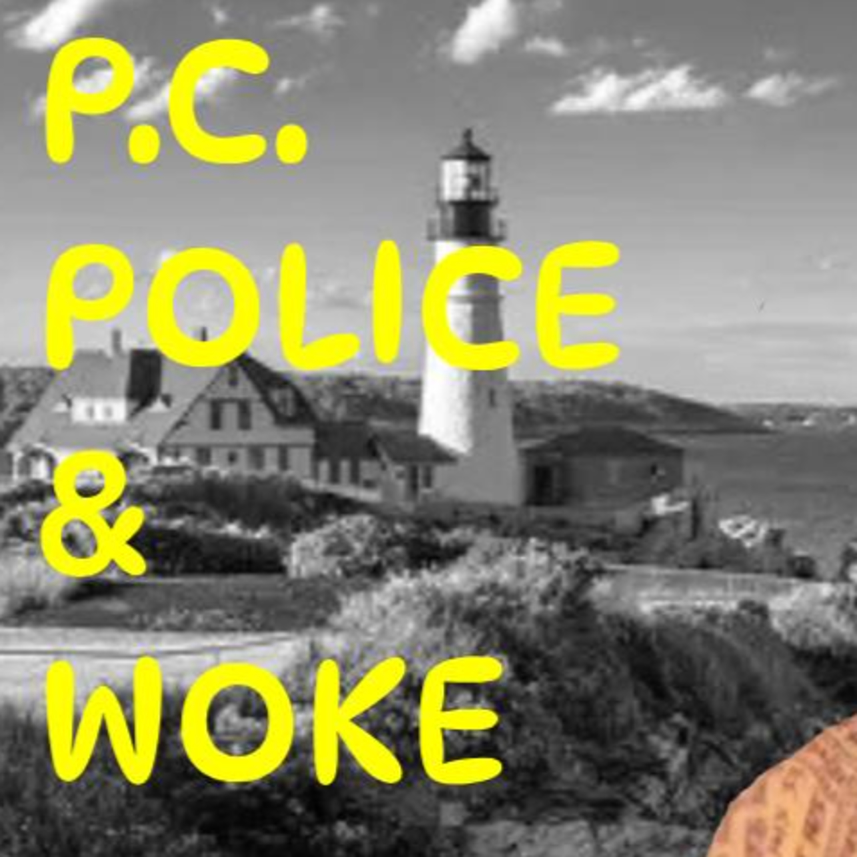 81 Political Correctness Is a Joke. When Wokeness Fails episode artwork