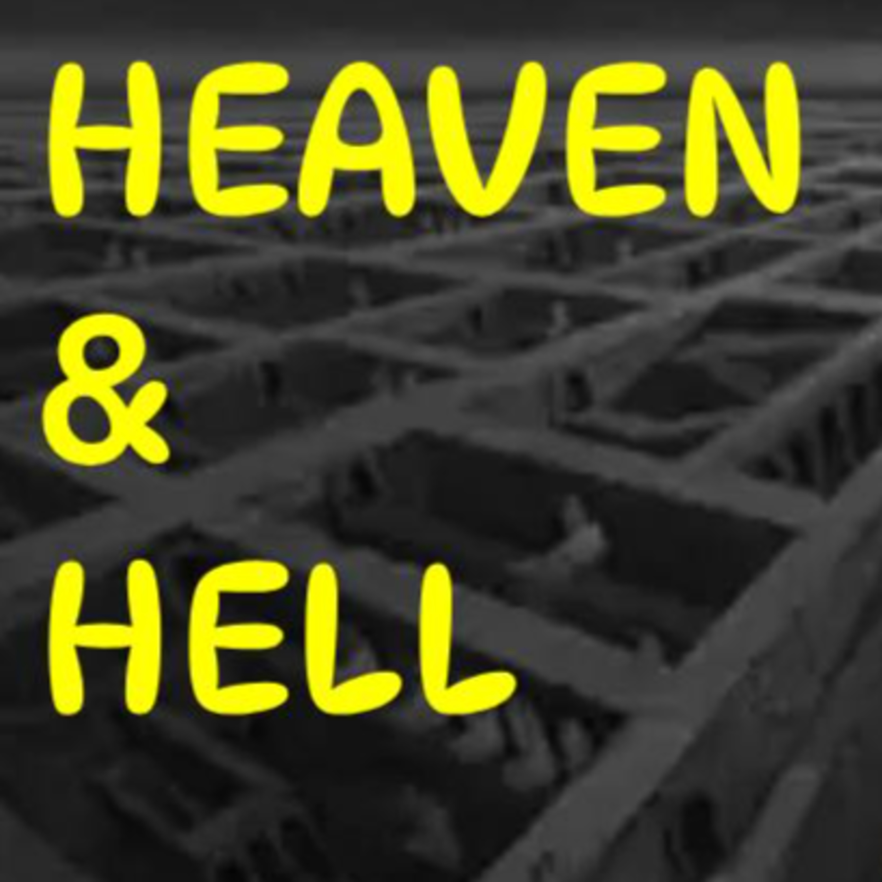 132 Most Afterlife Stories Don’t Make Sense or When Comfort Myths Fail episode artwork