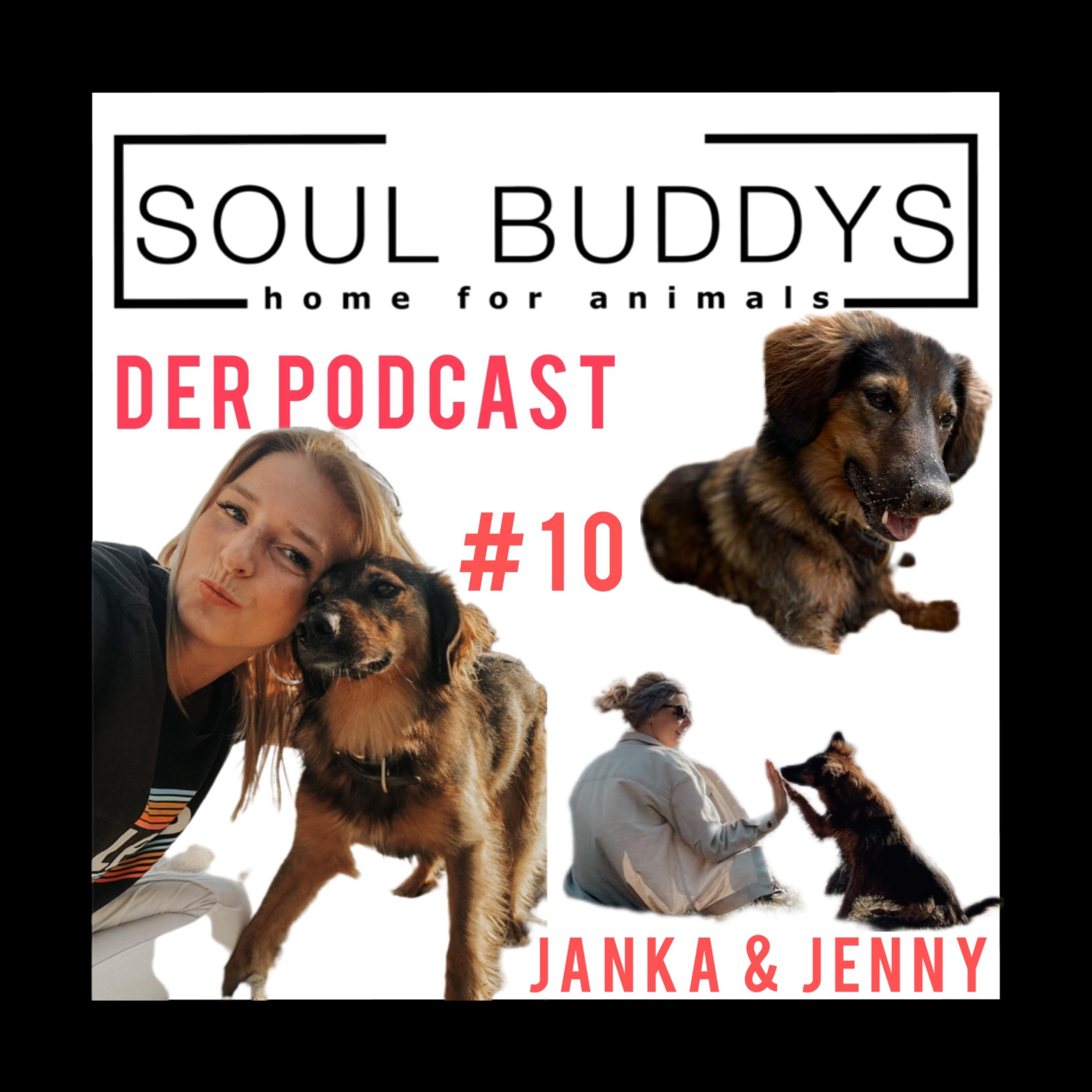DIE SOUL BUDDYS