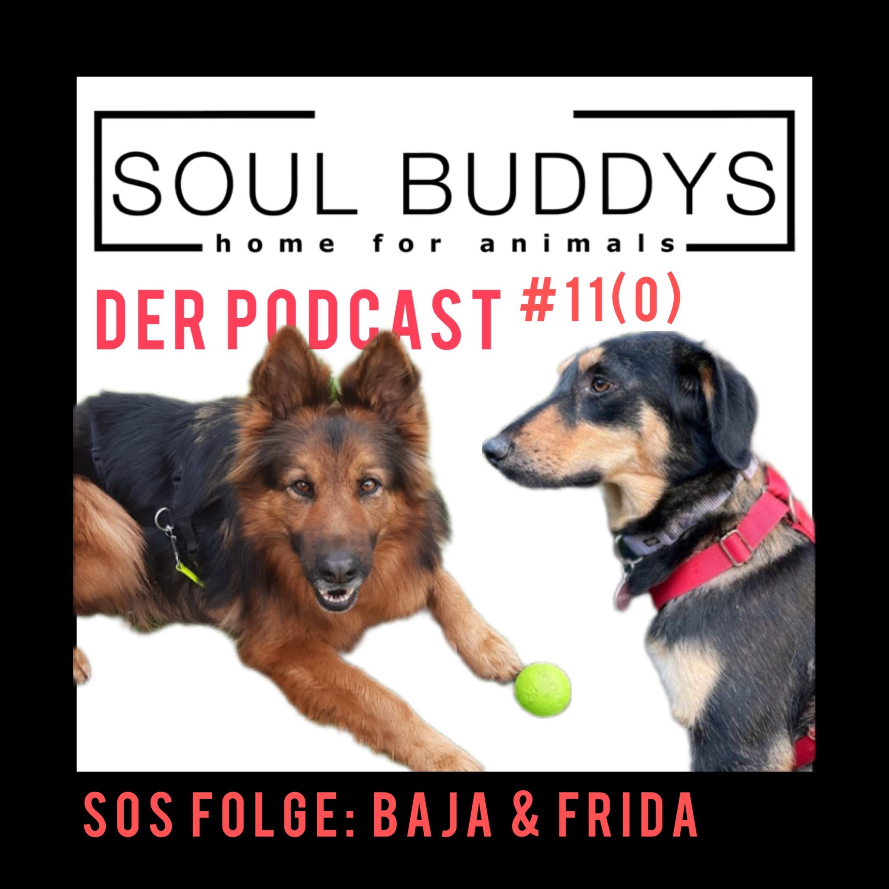 DIE SOUL BUDDYS