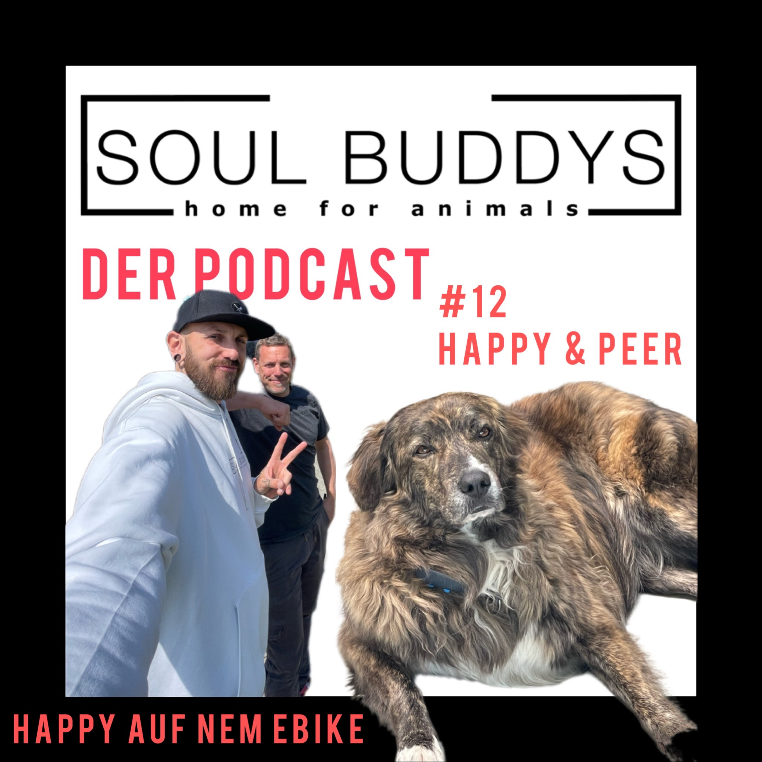 DIE SOUL BUDDYS
