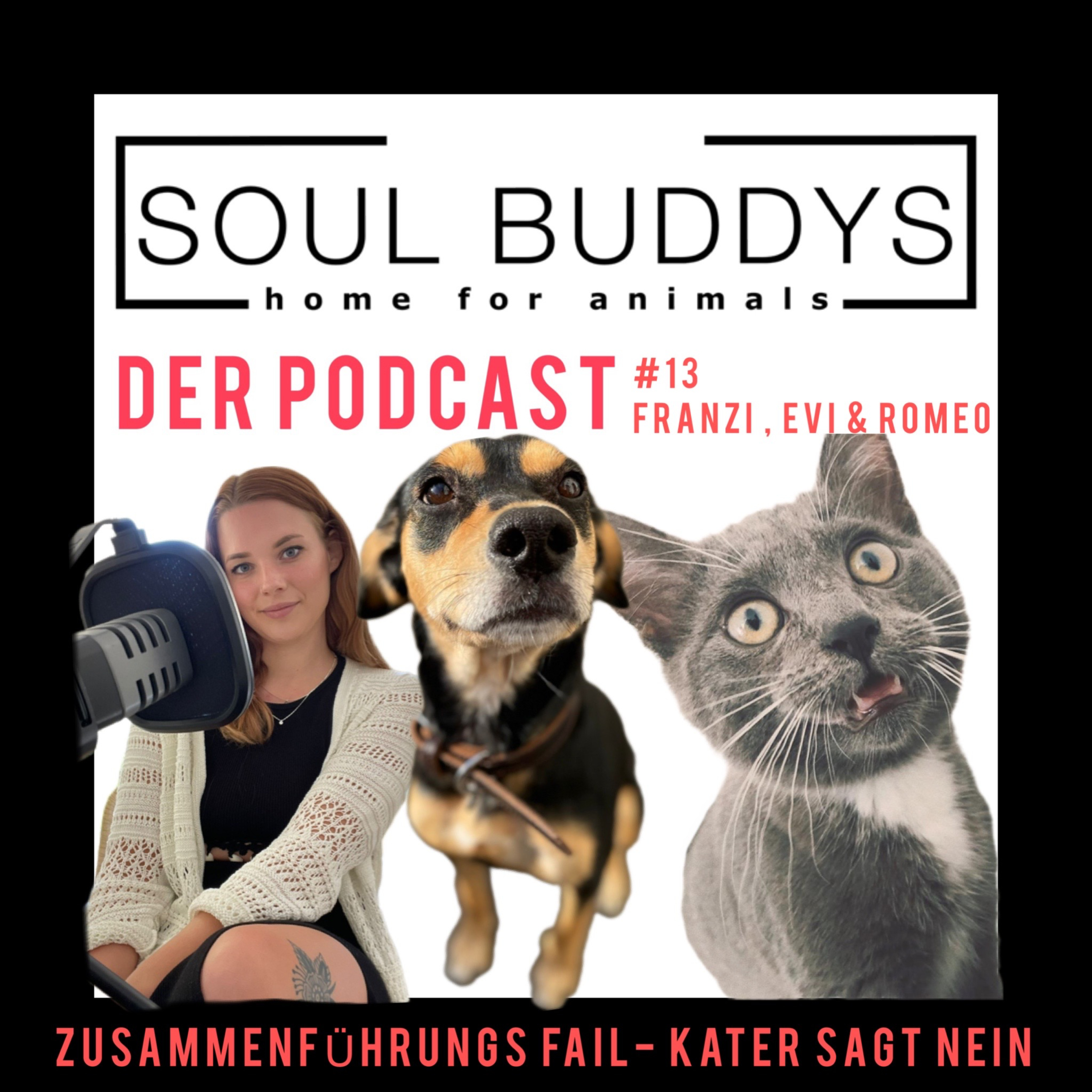 DIE SOUL BUDDYS