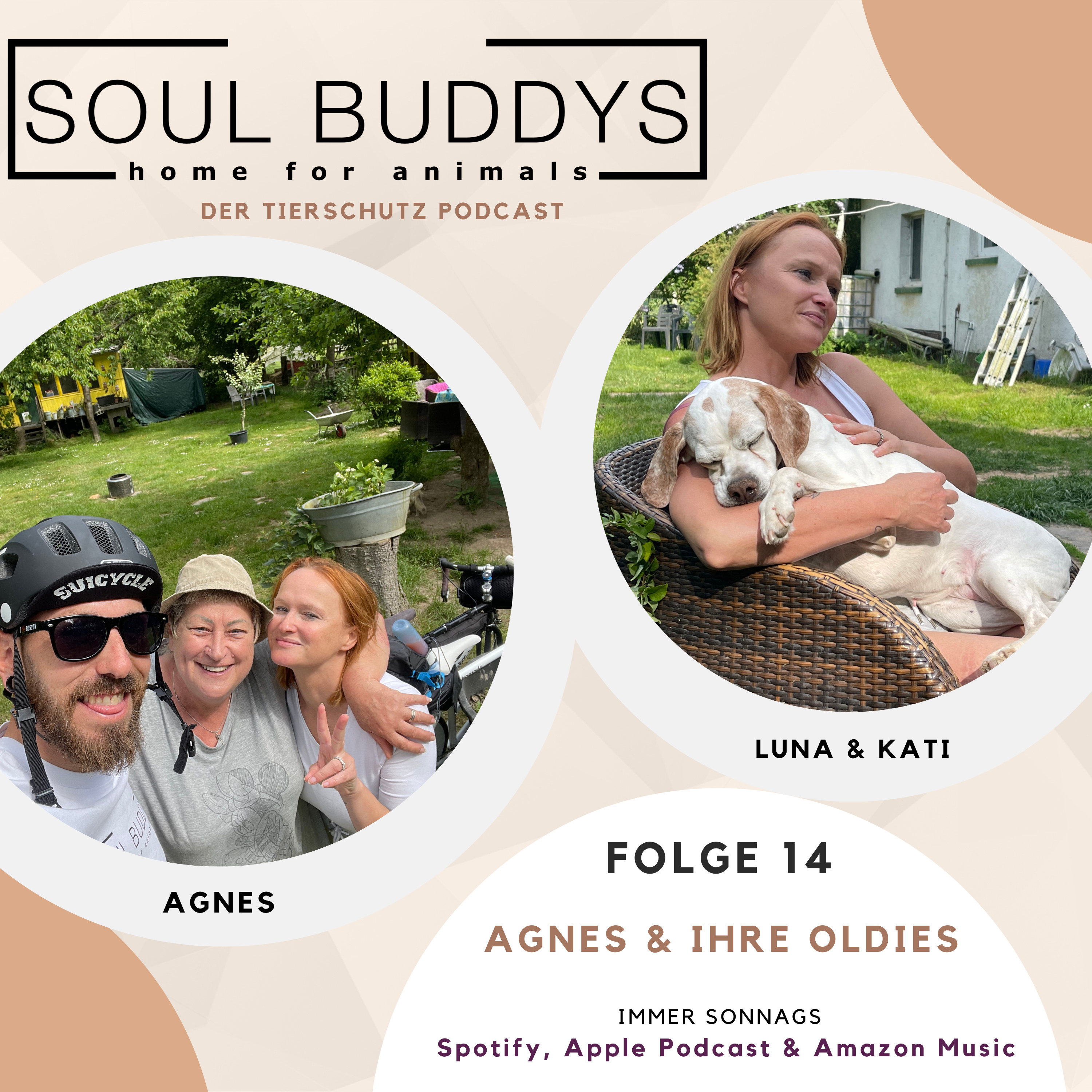 DIE SOUL BUDDYS