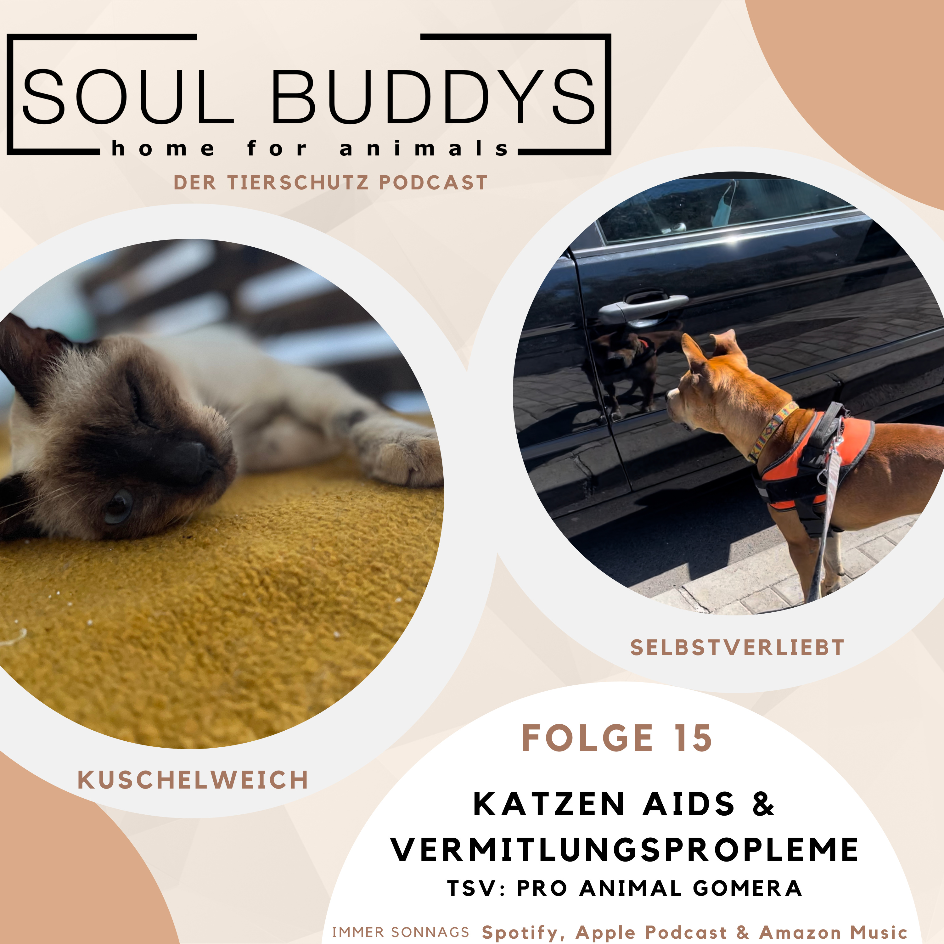 DIE SOUL BUDDYS