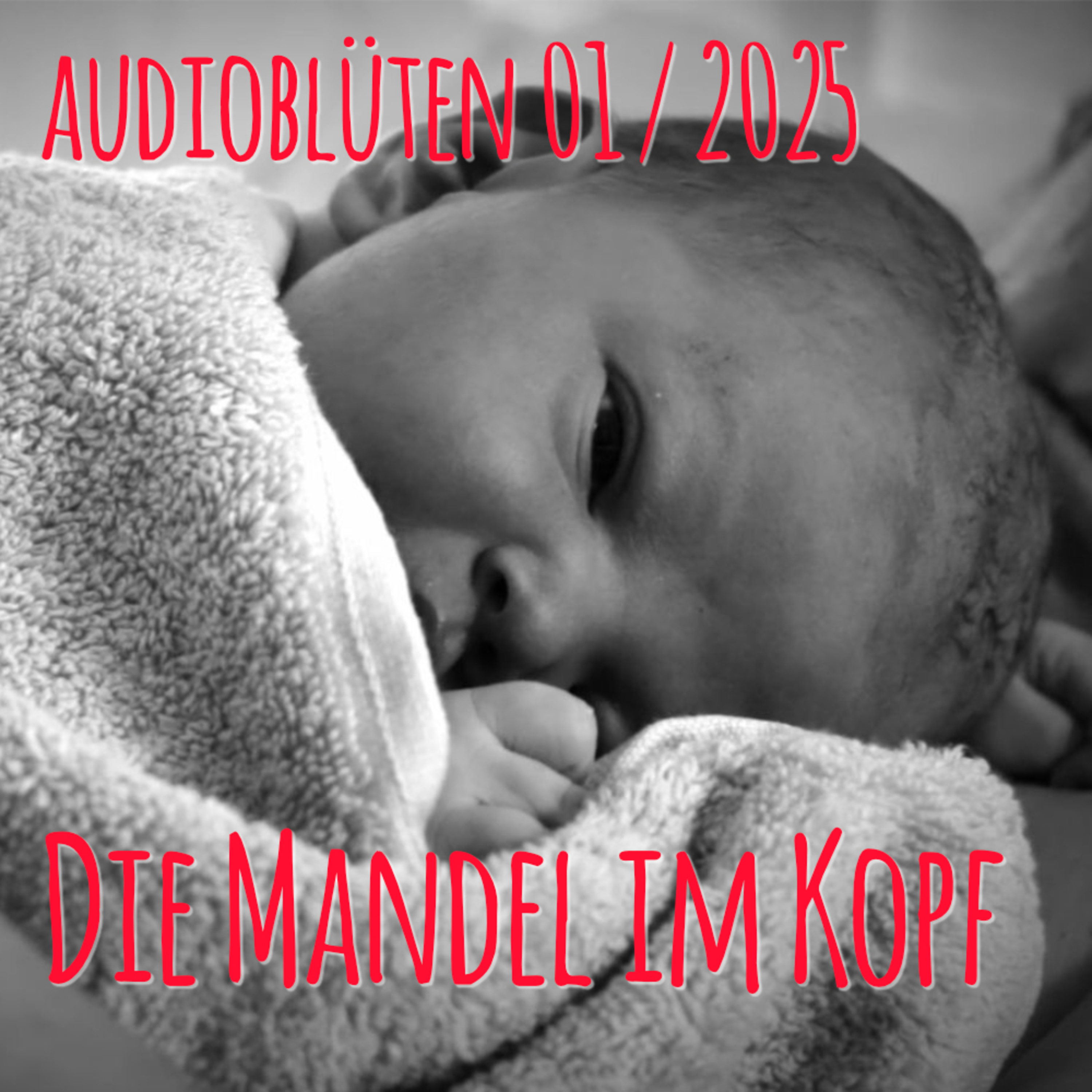 Audioblüten