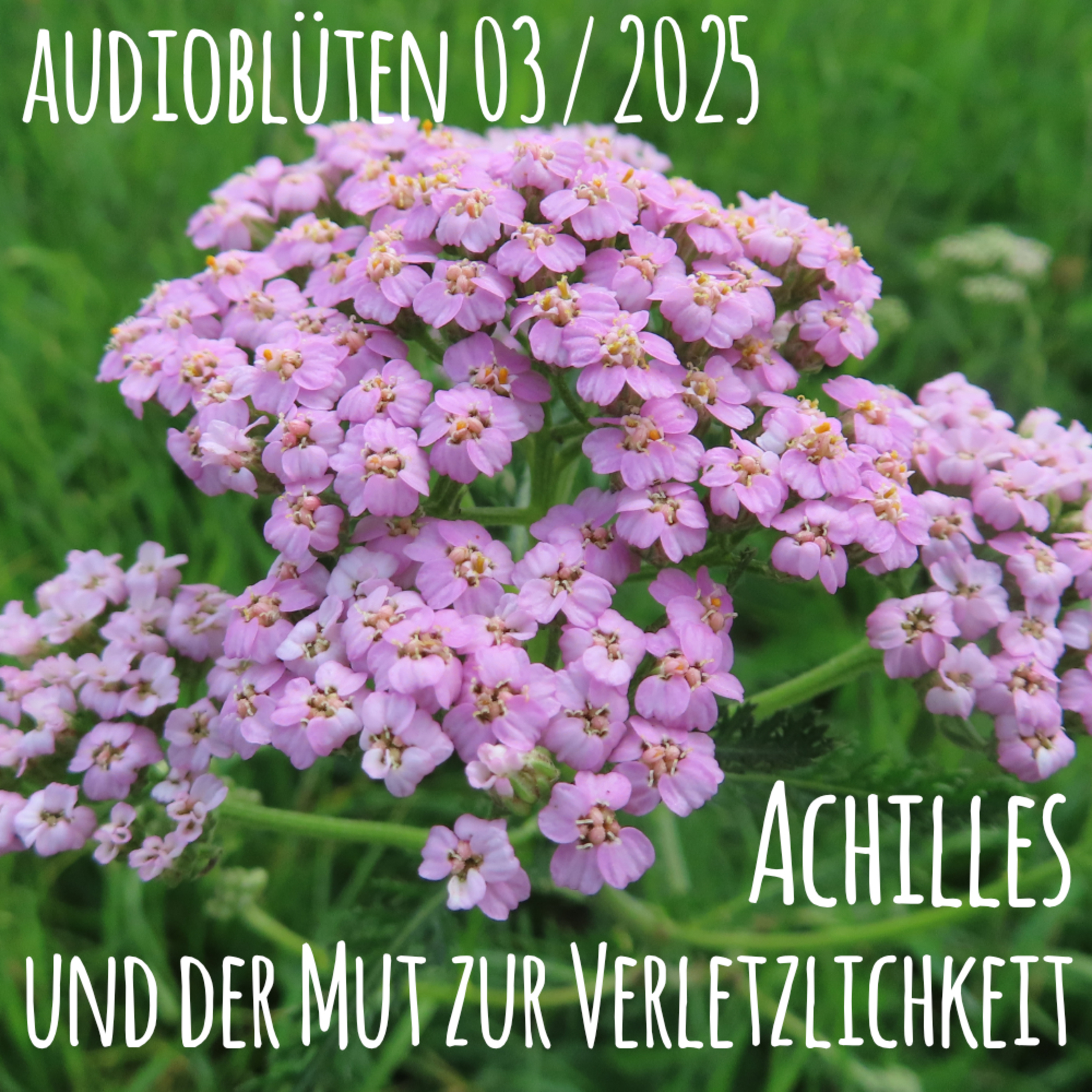Audioblüten