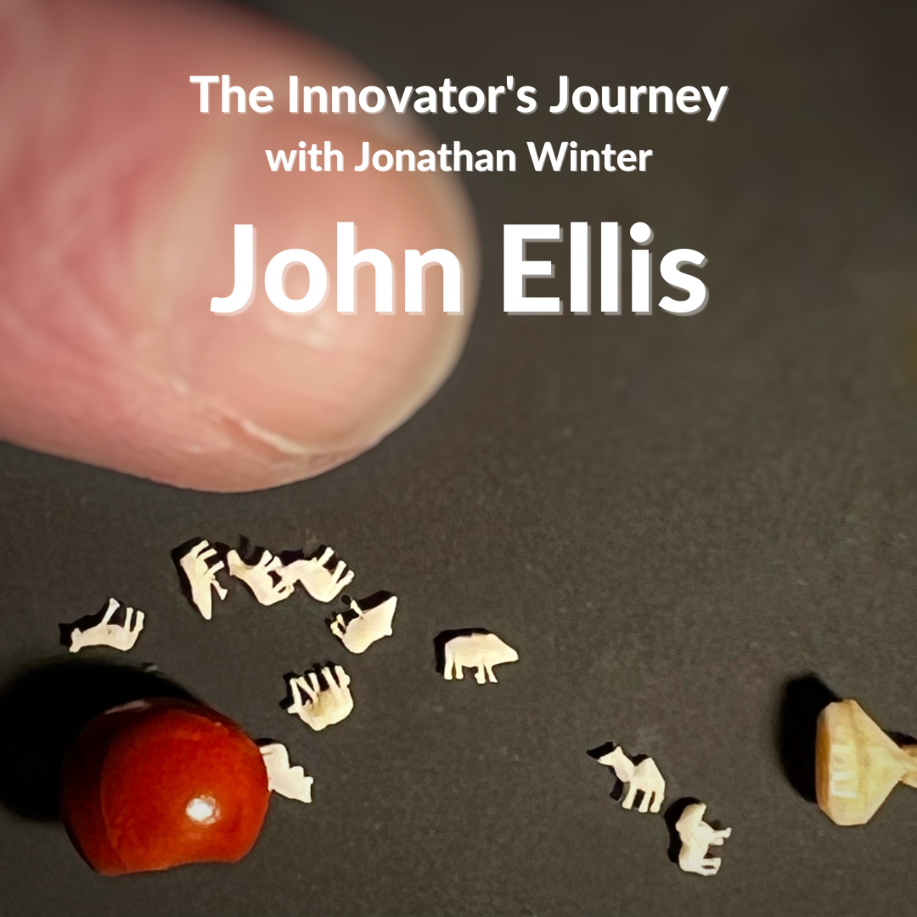 The Innovator\'s Journey