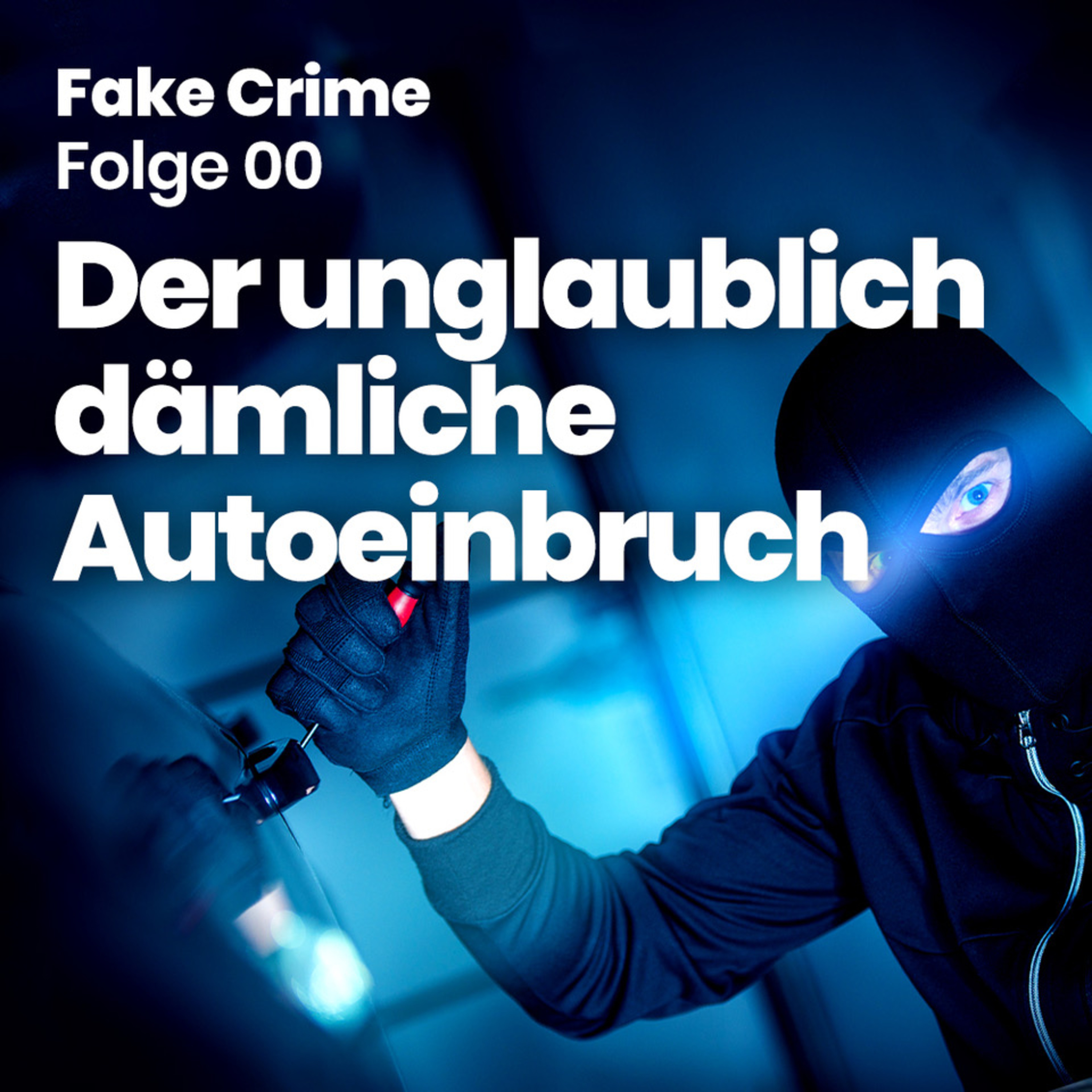 00 - Der unglaublich dämliche Autoeinbruch episode artwork