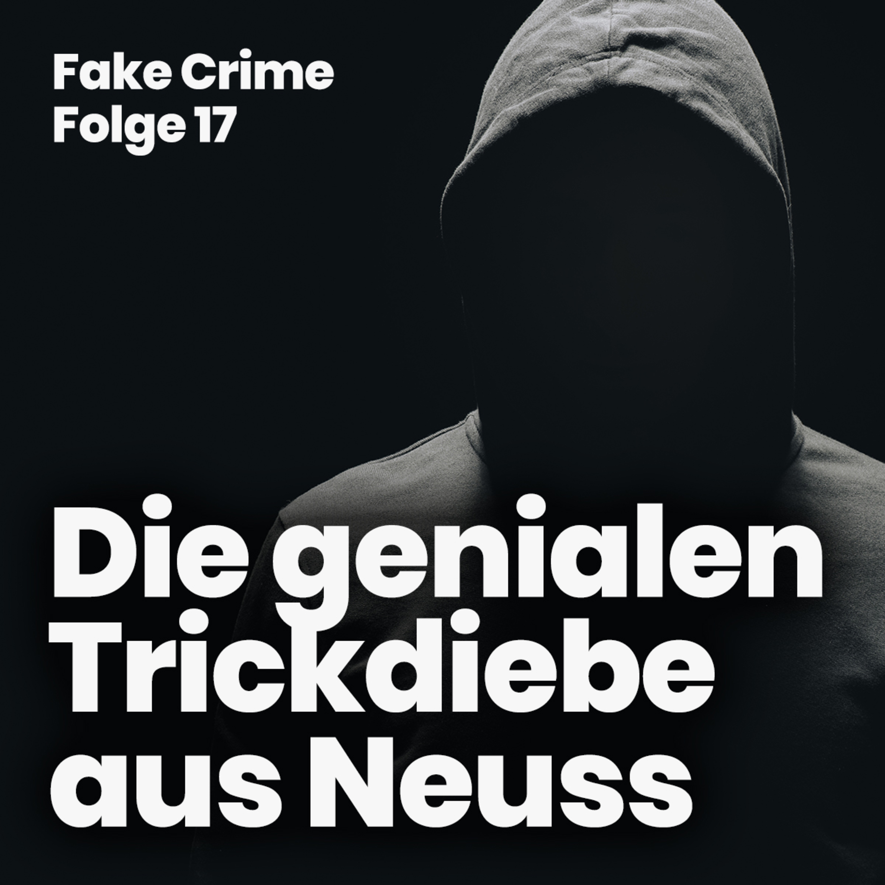 17 - Die genialen Trickdiebe aus Neuss episode artwork