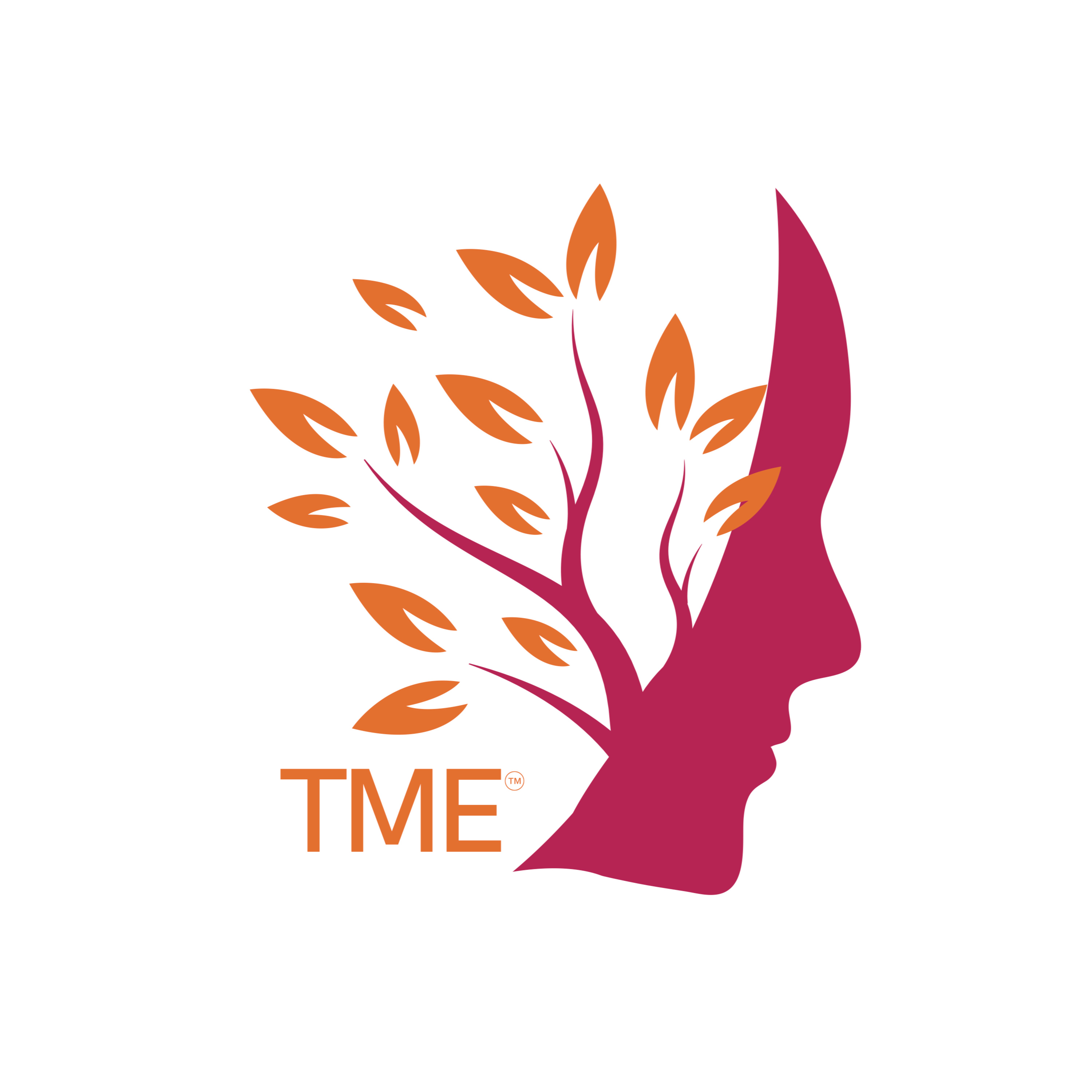 The Tailored Mindfulness Experience