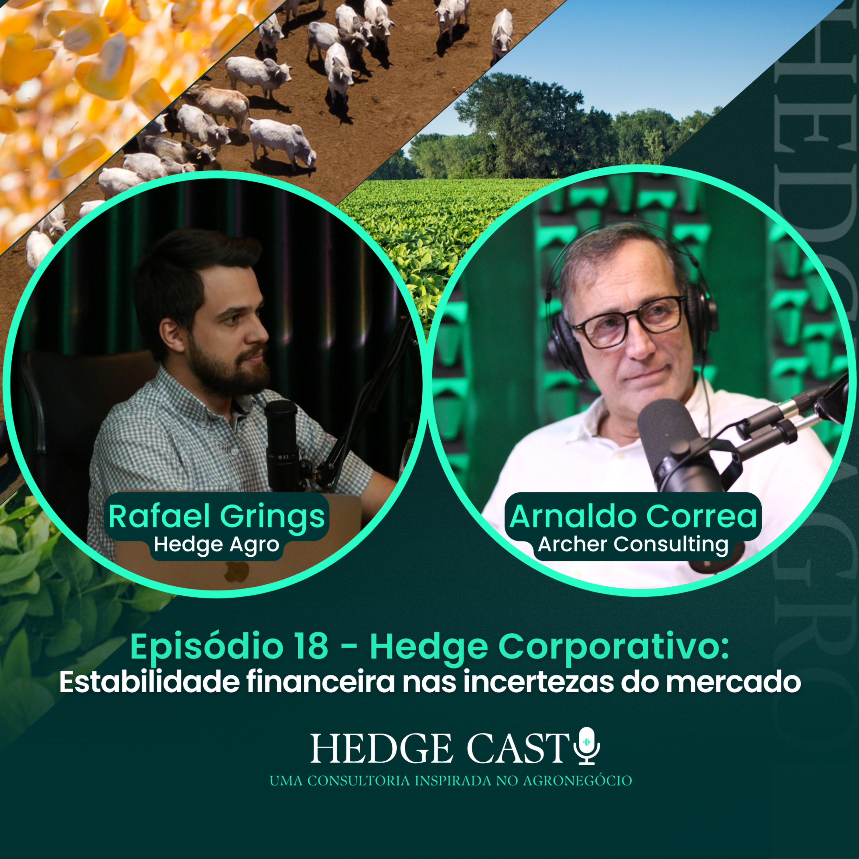 HedgeCast