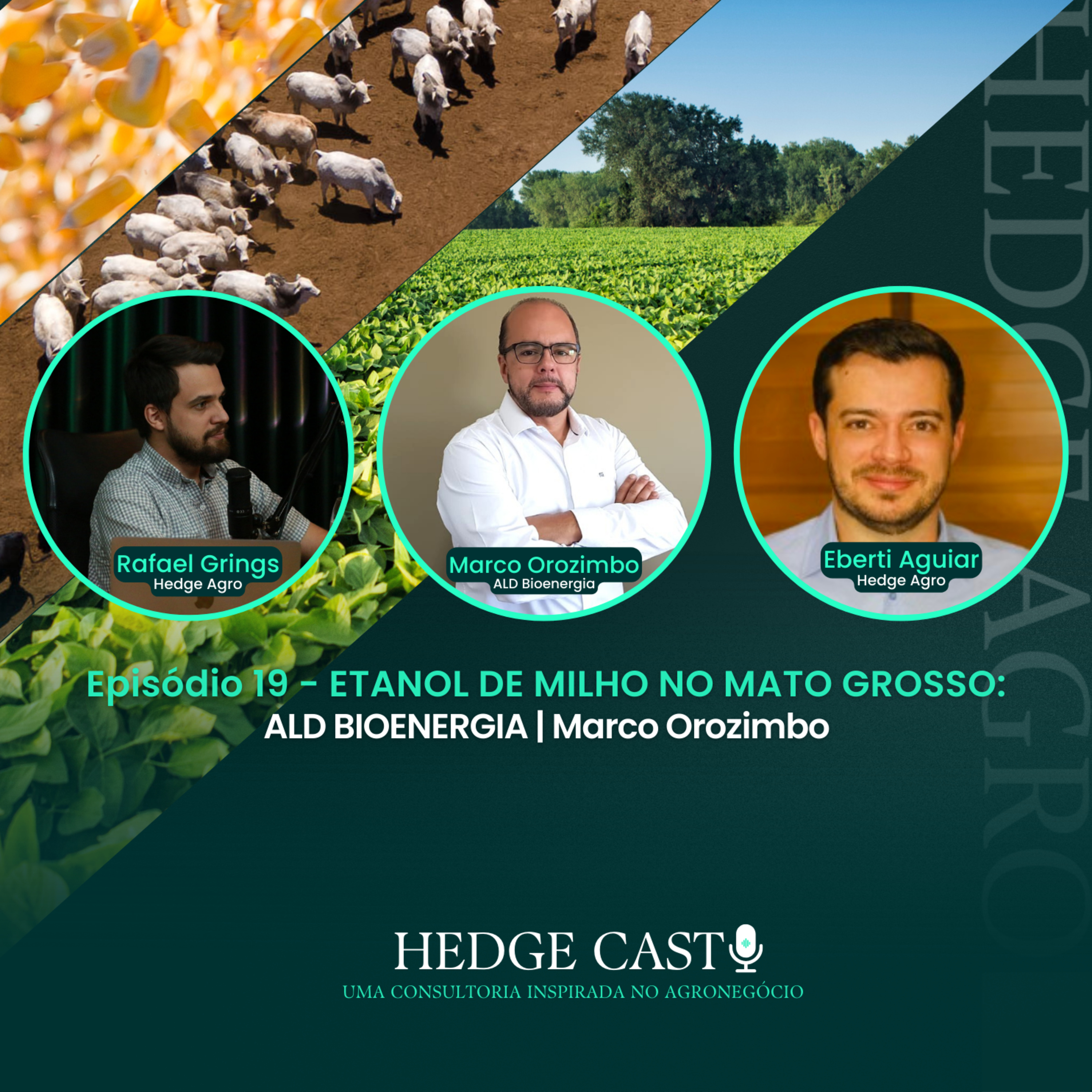 HedgeCast