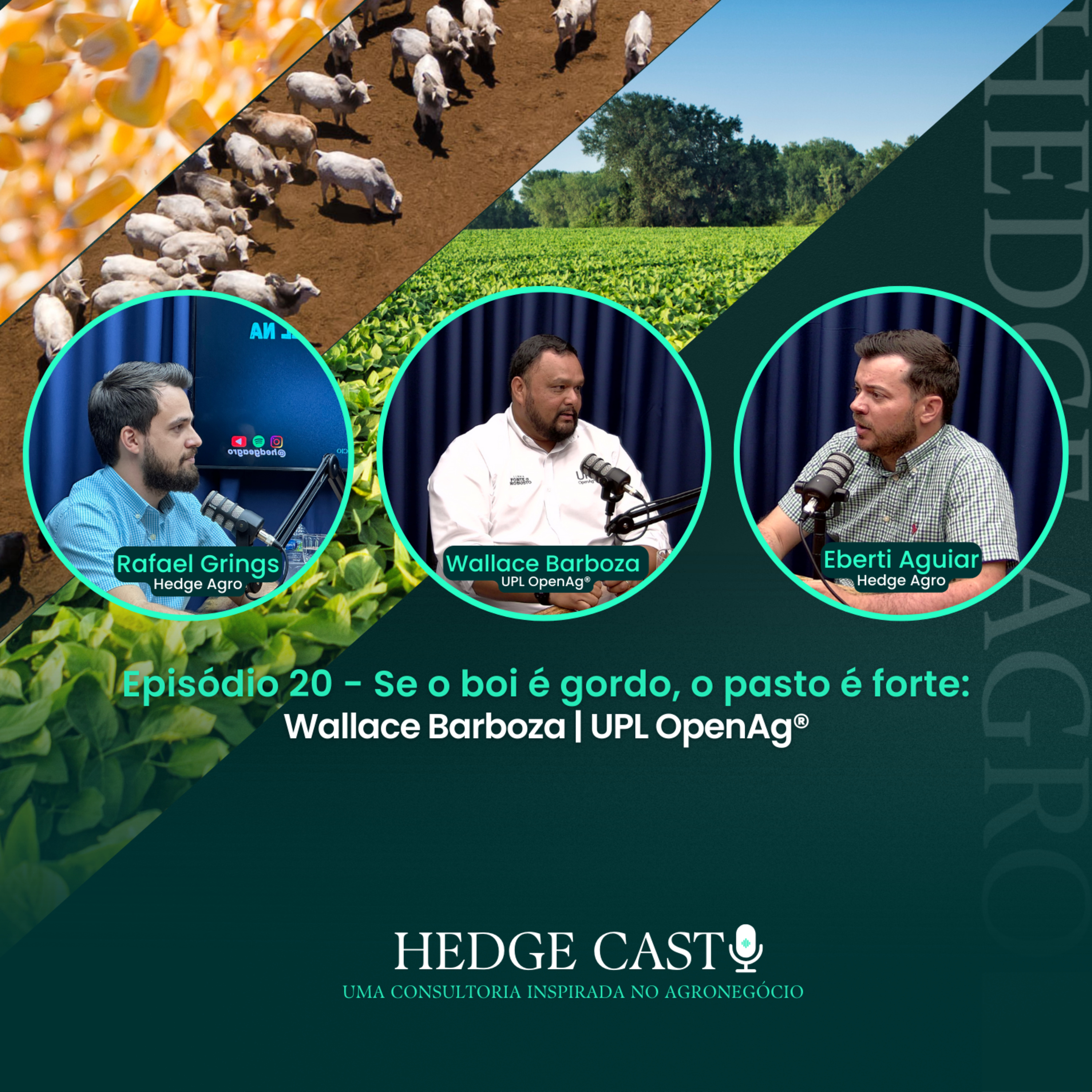 HedgeCast