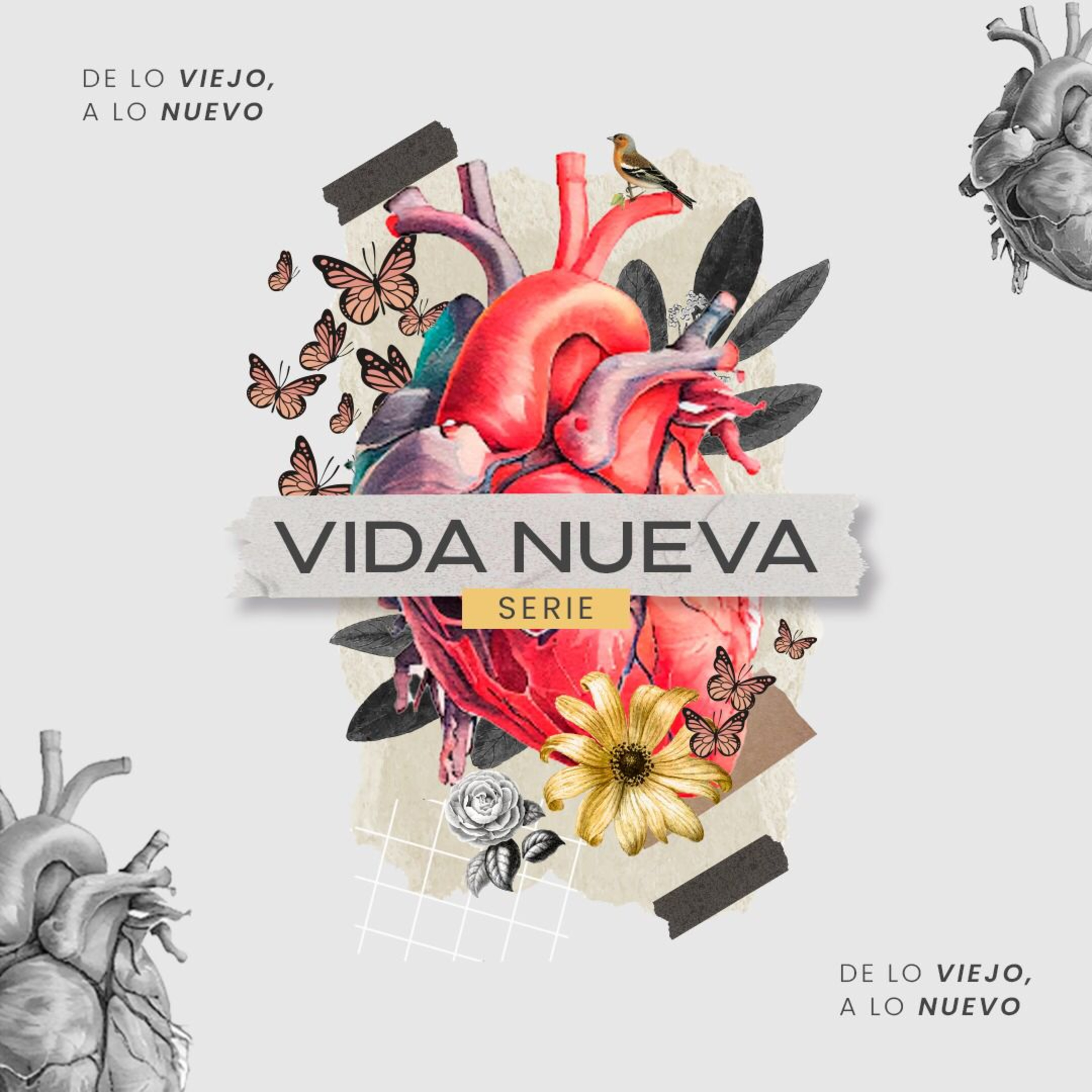 Portada de Iglesia Vínculo