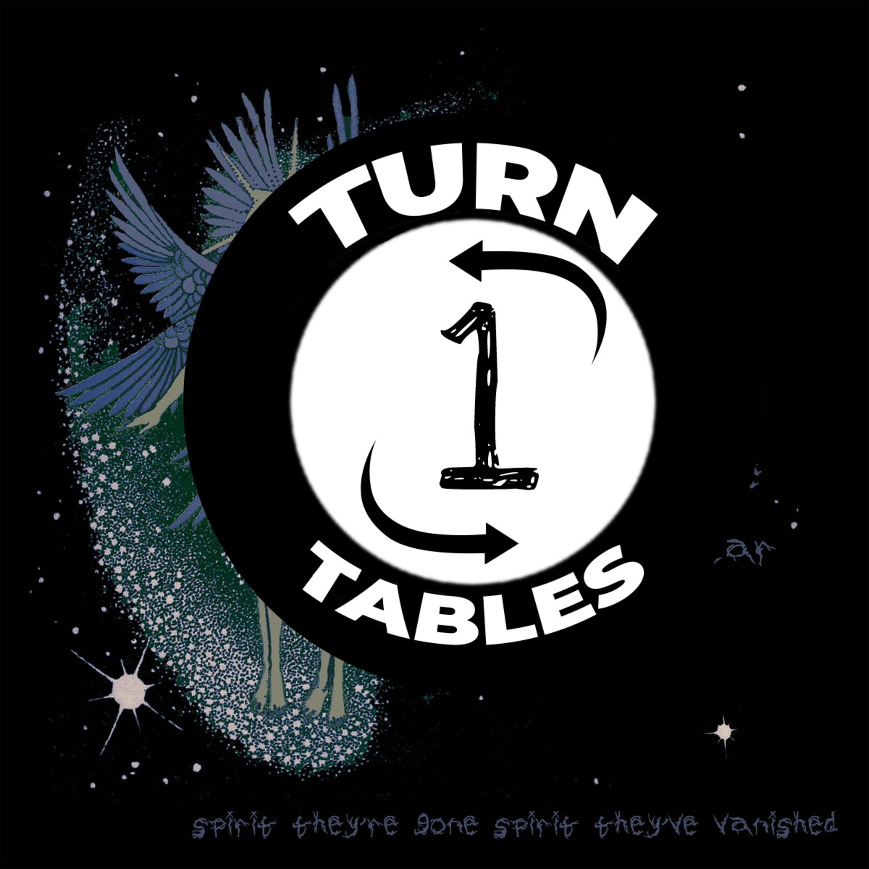 Turn Tables: an Album Book Club Podcast