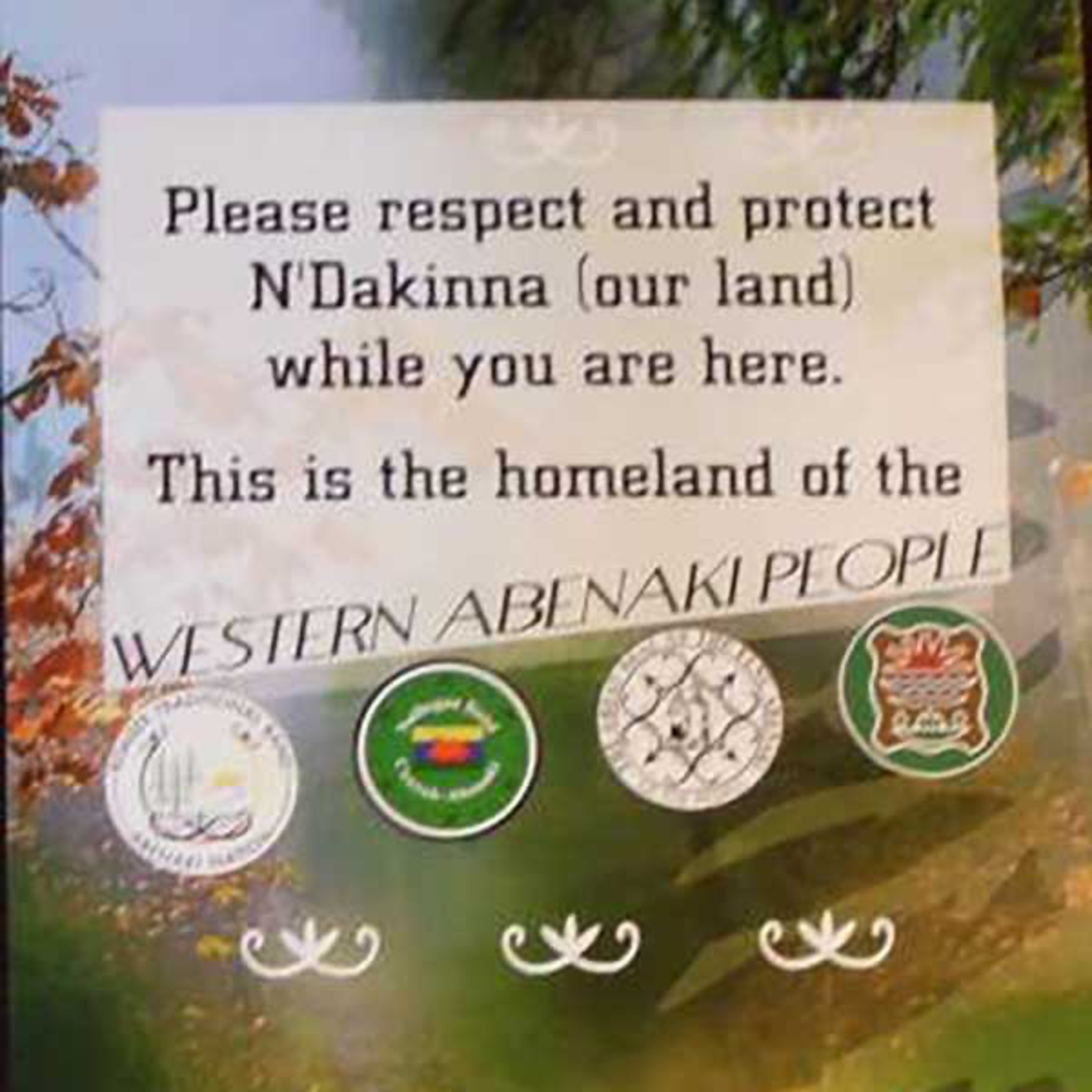 2. Abenaki Chief Don Stevens: Tribal Recognition and Resilience in Vermont