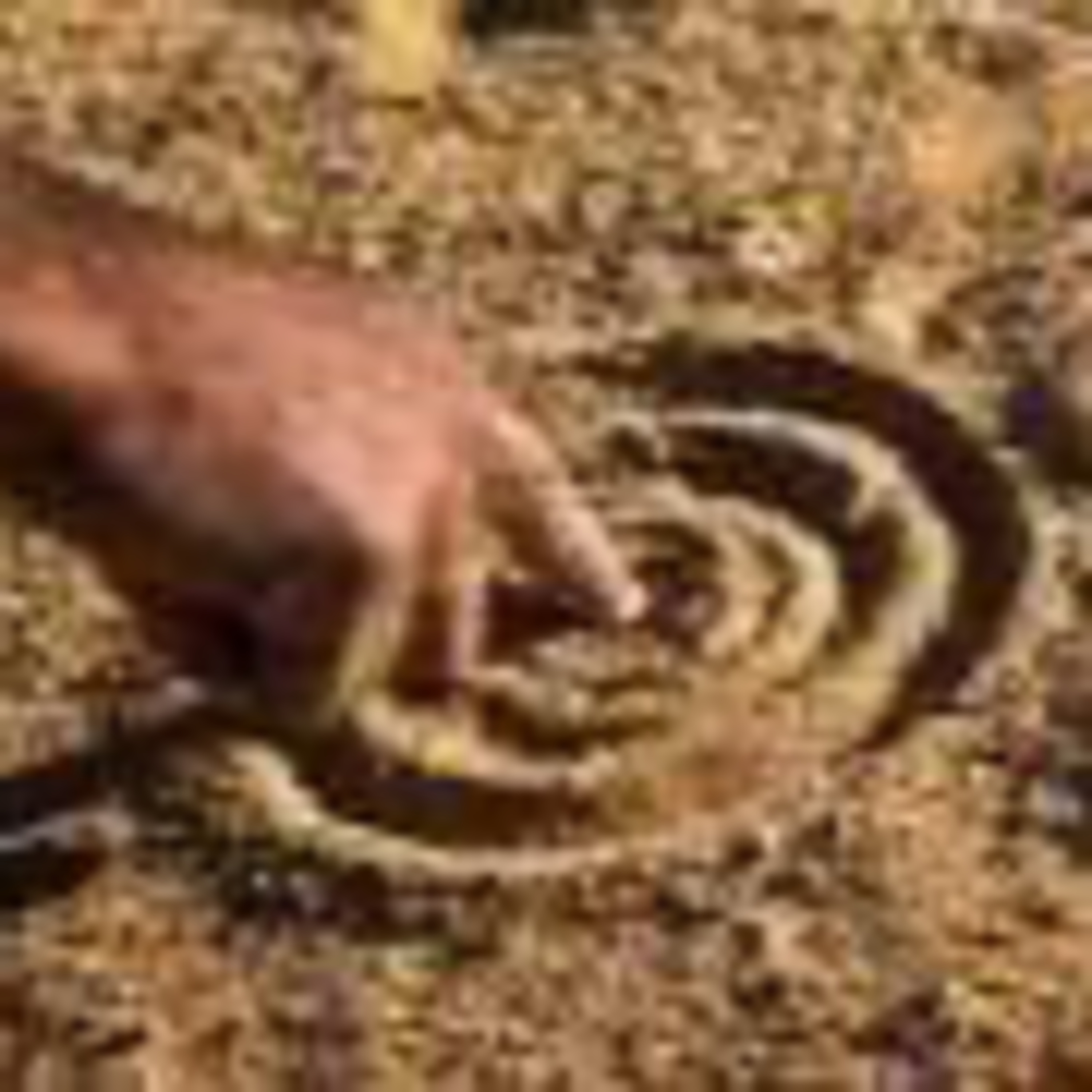 10. Australian Aboriginal Elder’s Thoughts On Truth and Healing episode artwork